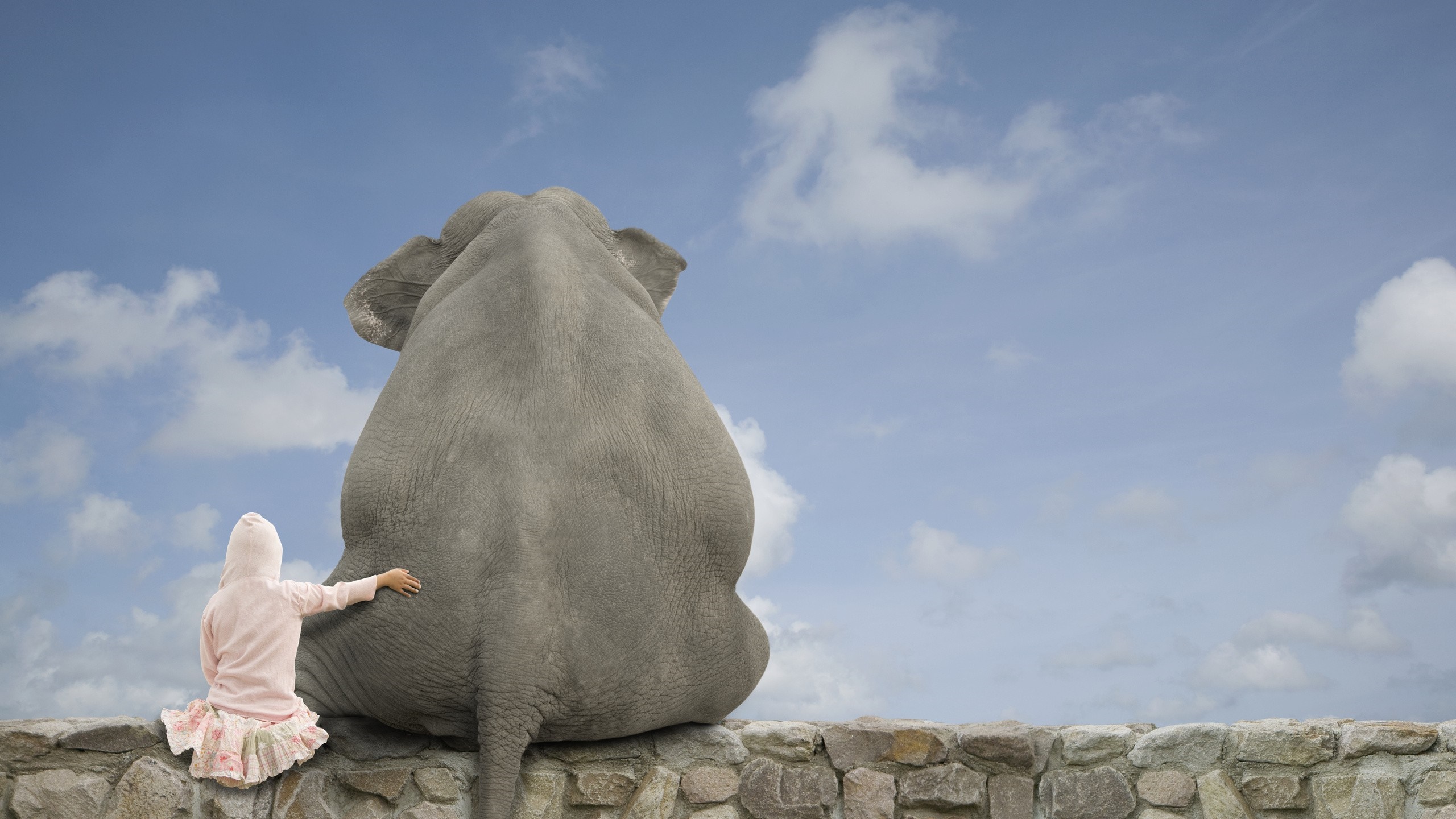 Girl and elephant sitting on a stone wall HD Wallpaper