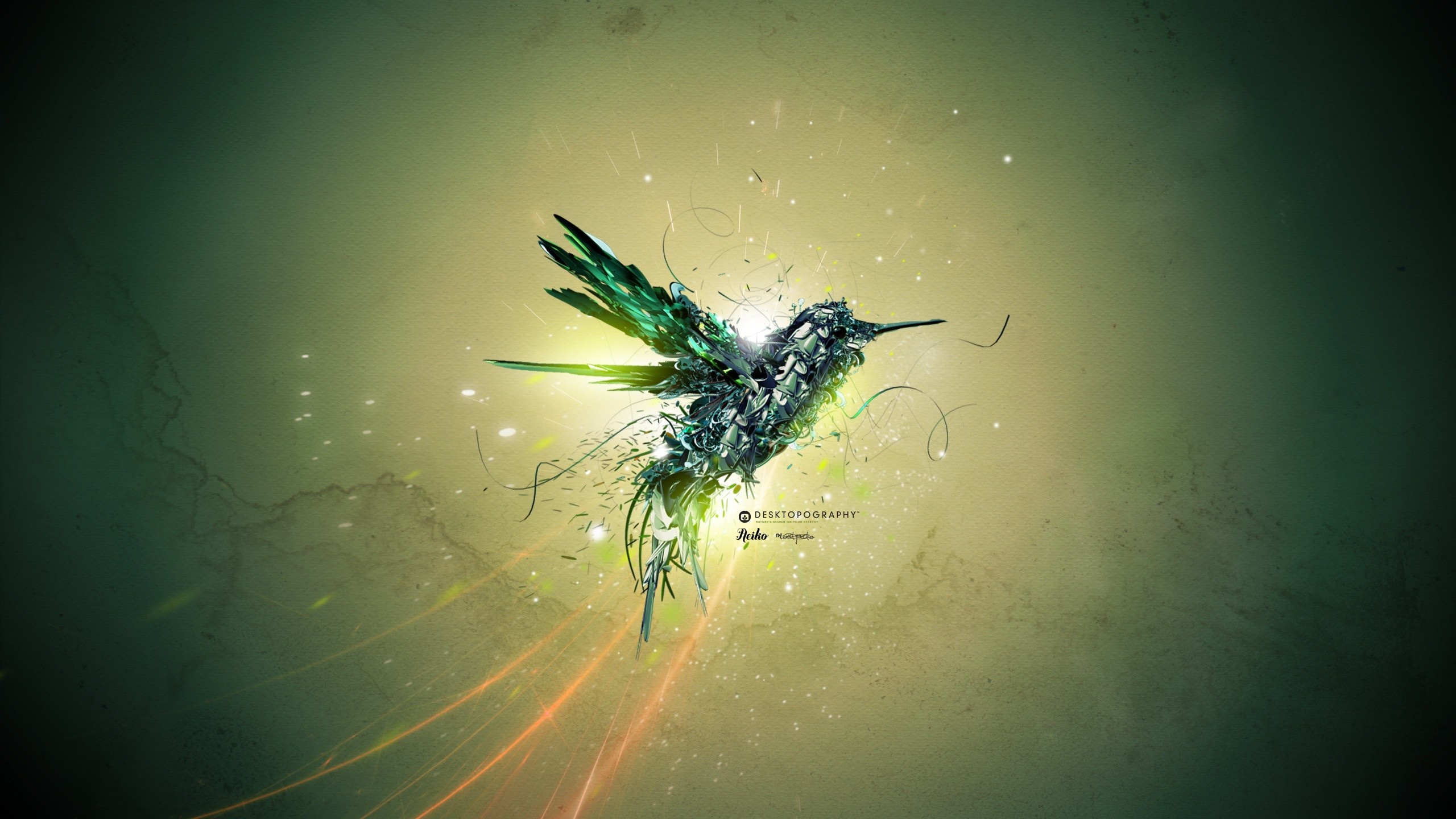 Abstract digital art hummingbird with light effects HD Wallpaper