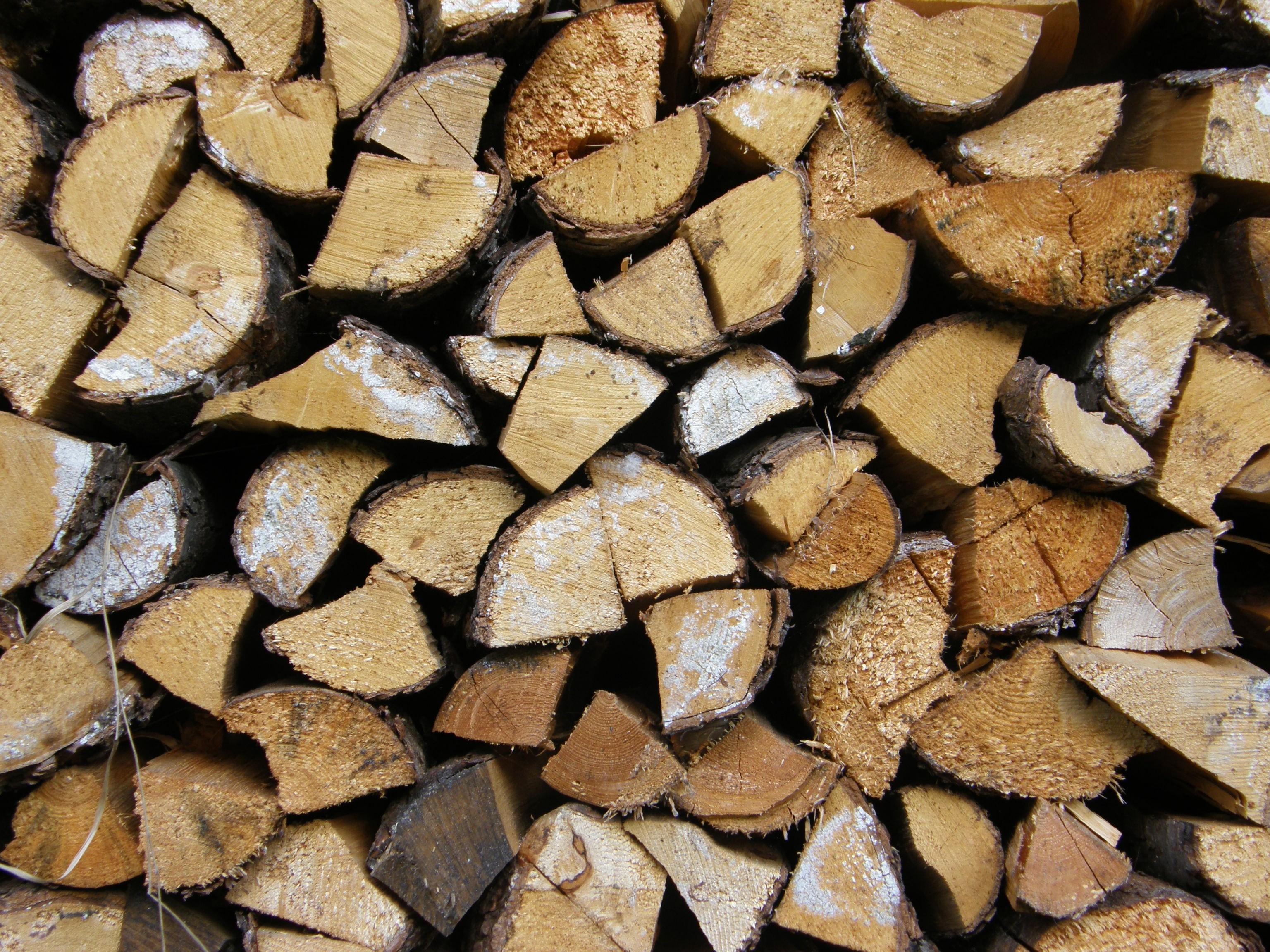 Pile of cut firewood logs HD Wallpaper