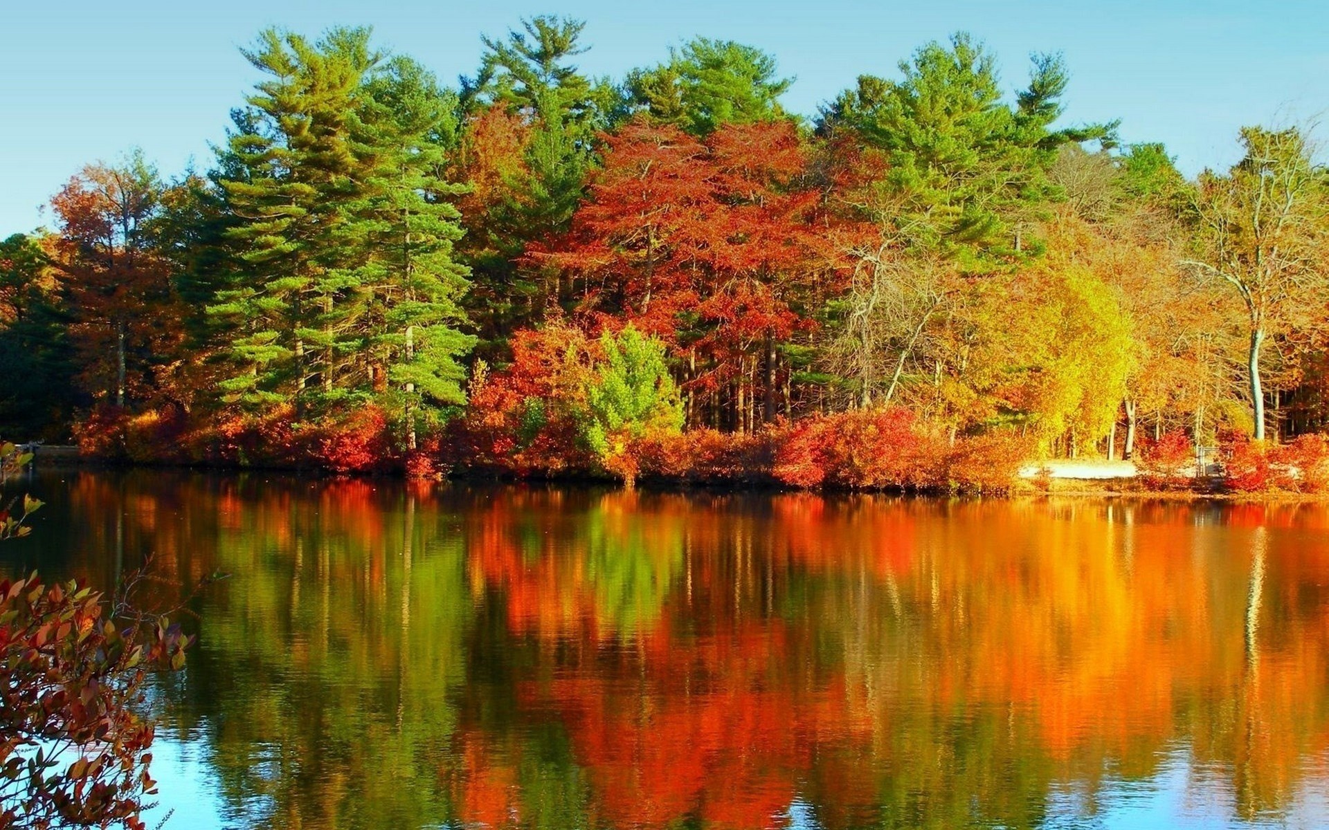 Autumn trees reflected in a calm lake HD Wallpaper