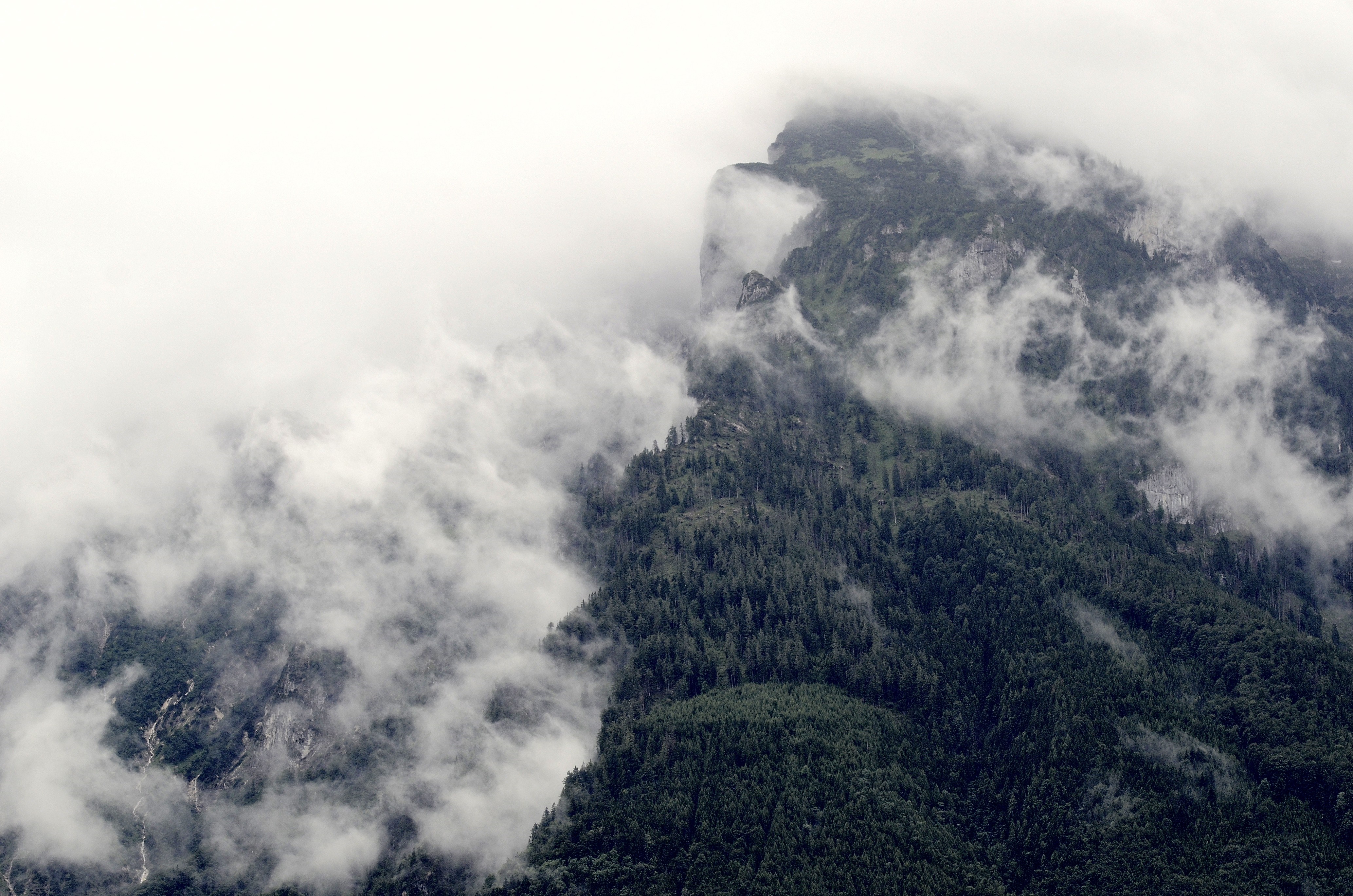 Misty mountains covered in dark green forest HD Wallpaper