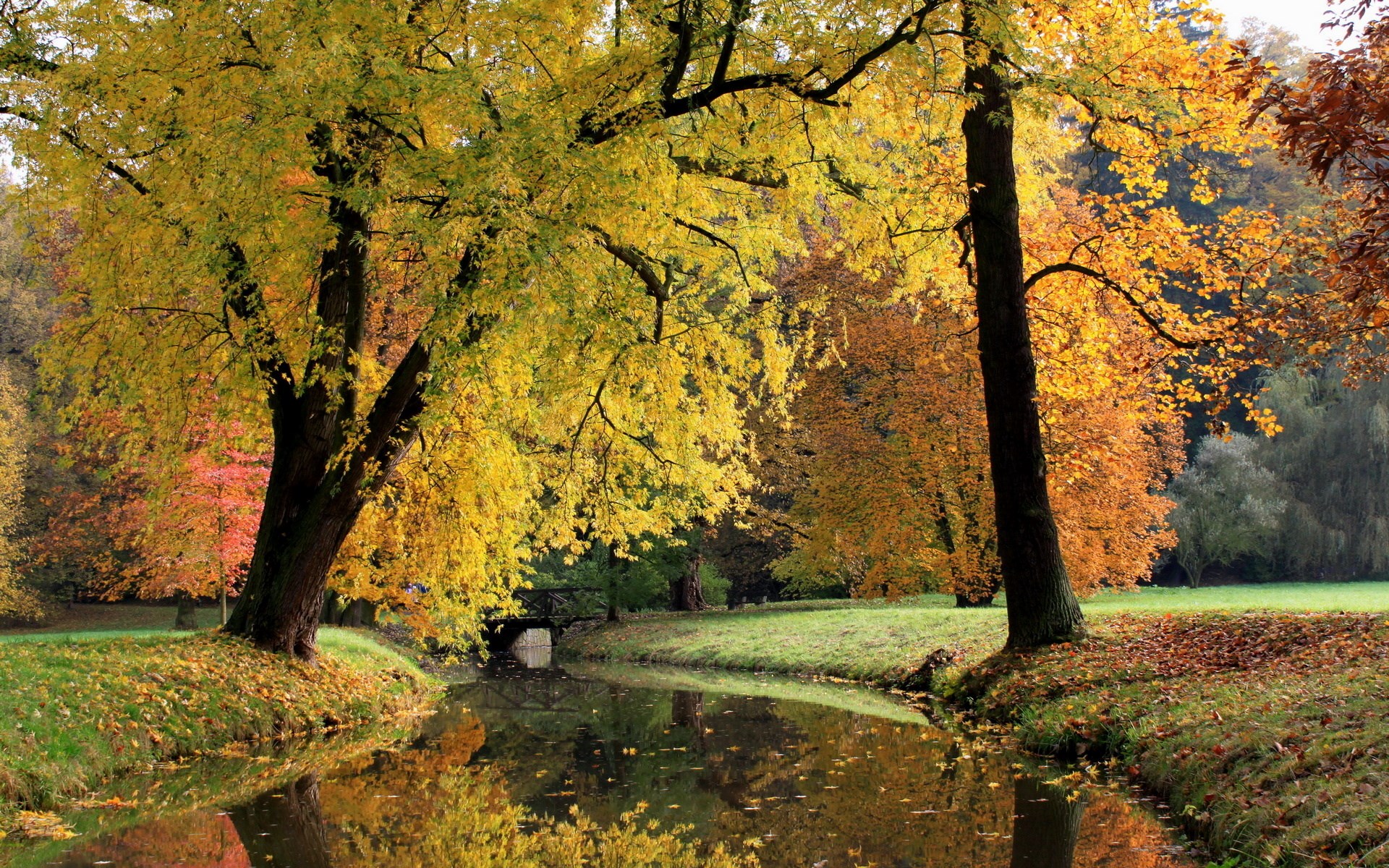 Autumn park with a stream and trees HD Wallpaper