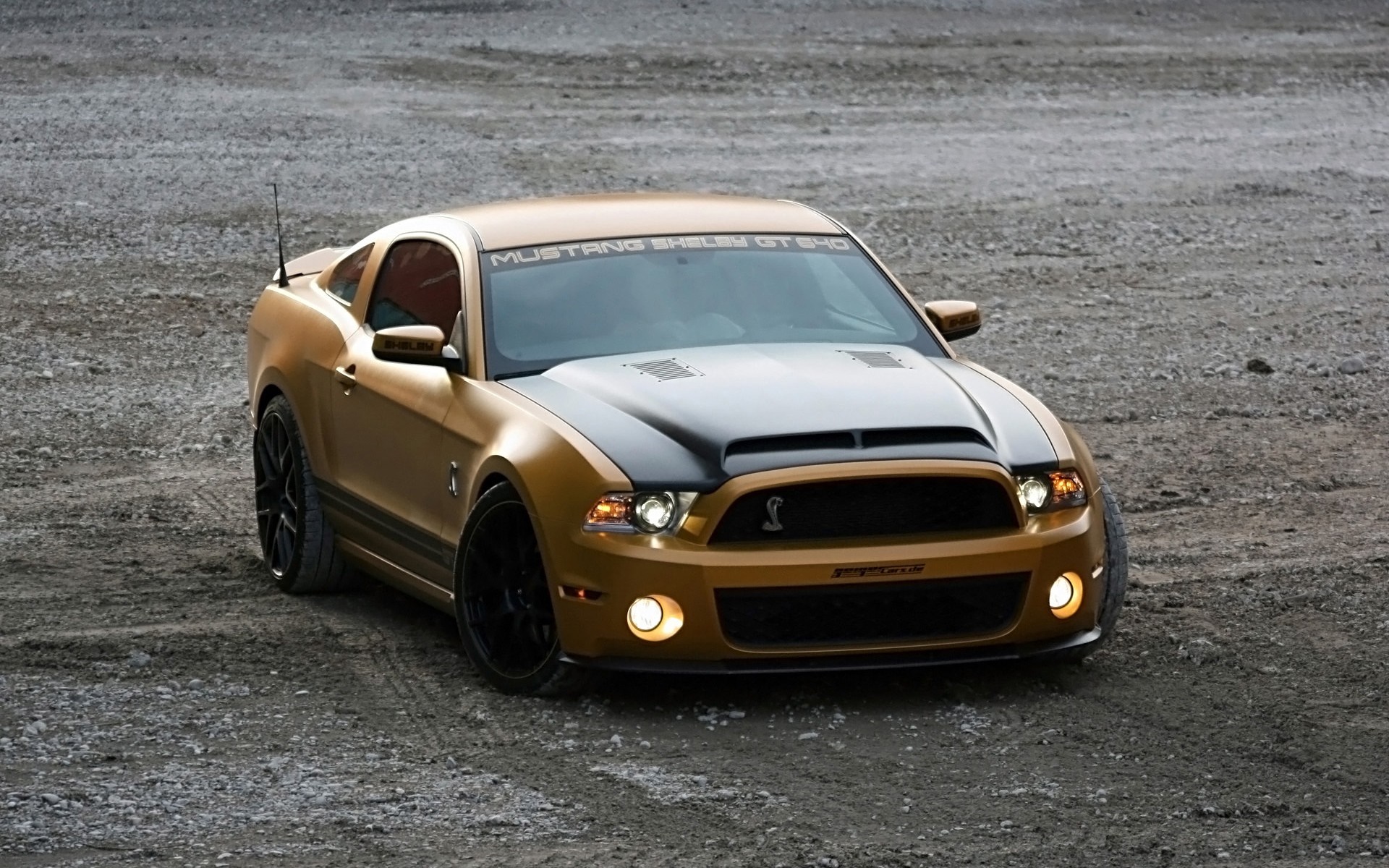 Gold Shelby GT500 Mustang on Gravel HD Wallpaper