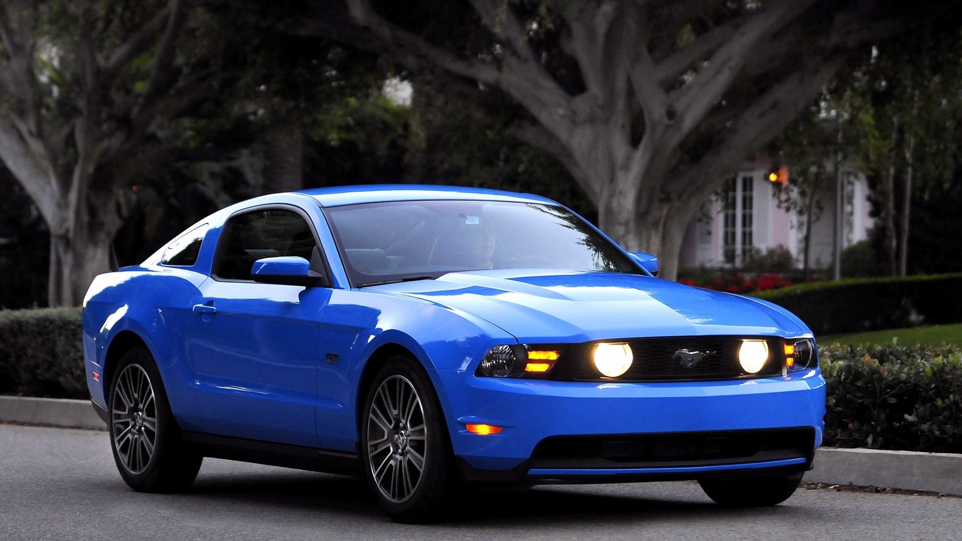 Blue Ford Mustang parked on a street HD Wallpaper