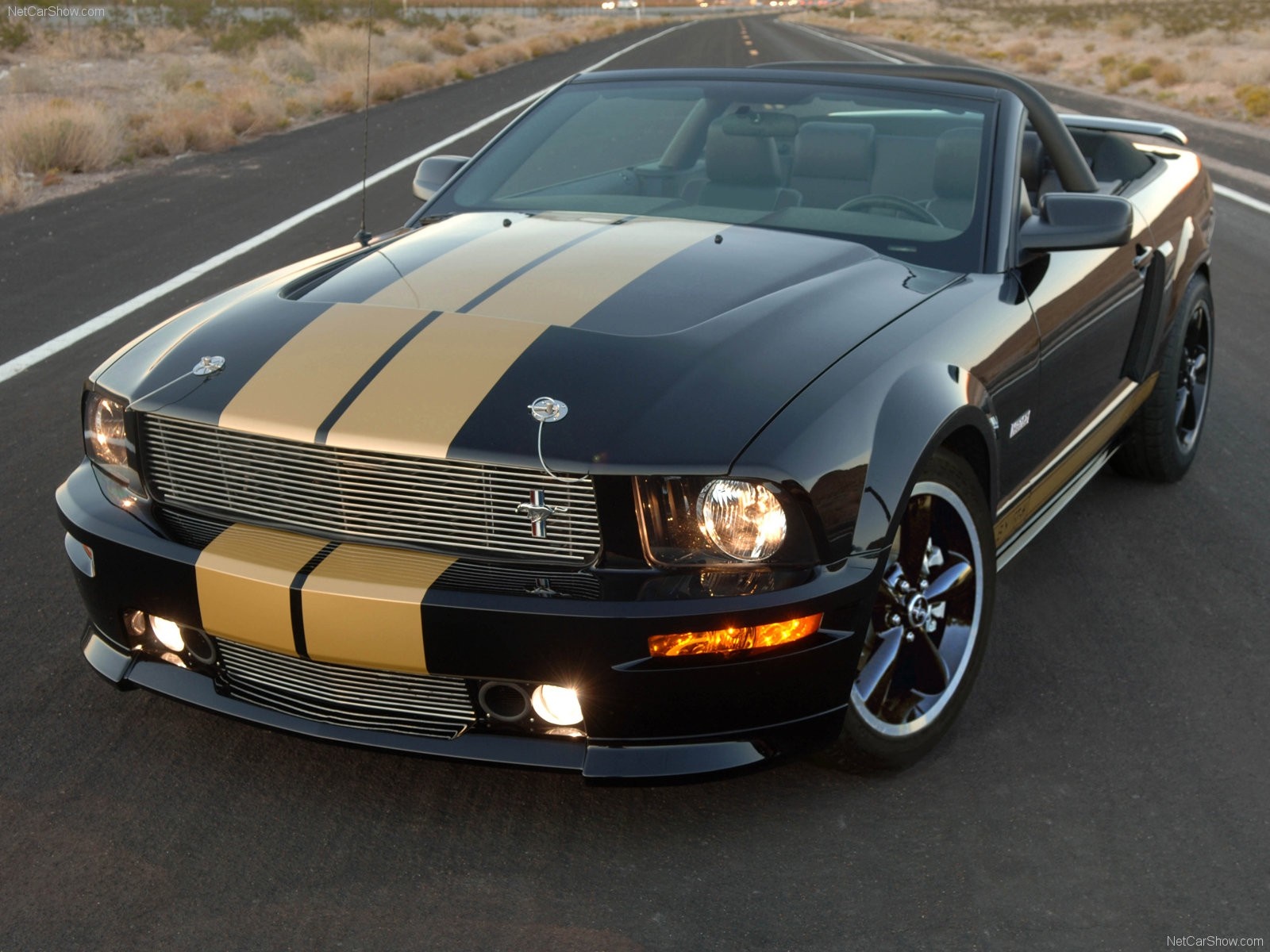 Black Ford Mustang Convertible with Gold Stripes on Road HD Wallpaper