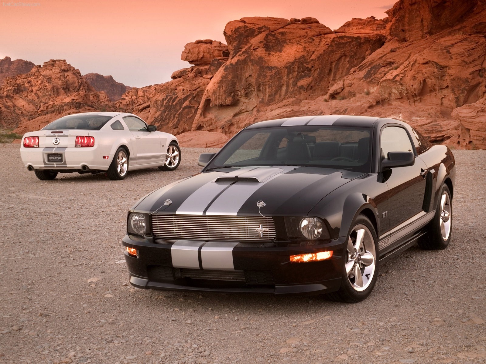 Two Ford Shelby Mustang GT cars in a desert landscape HD Wallpaper