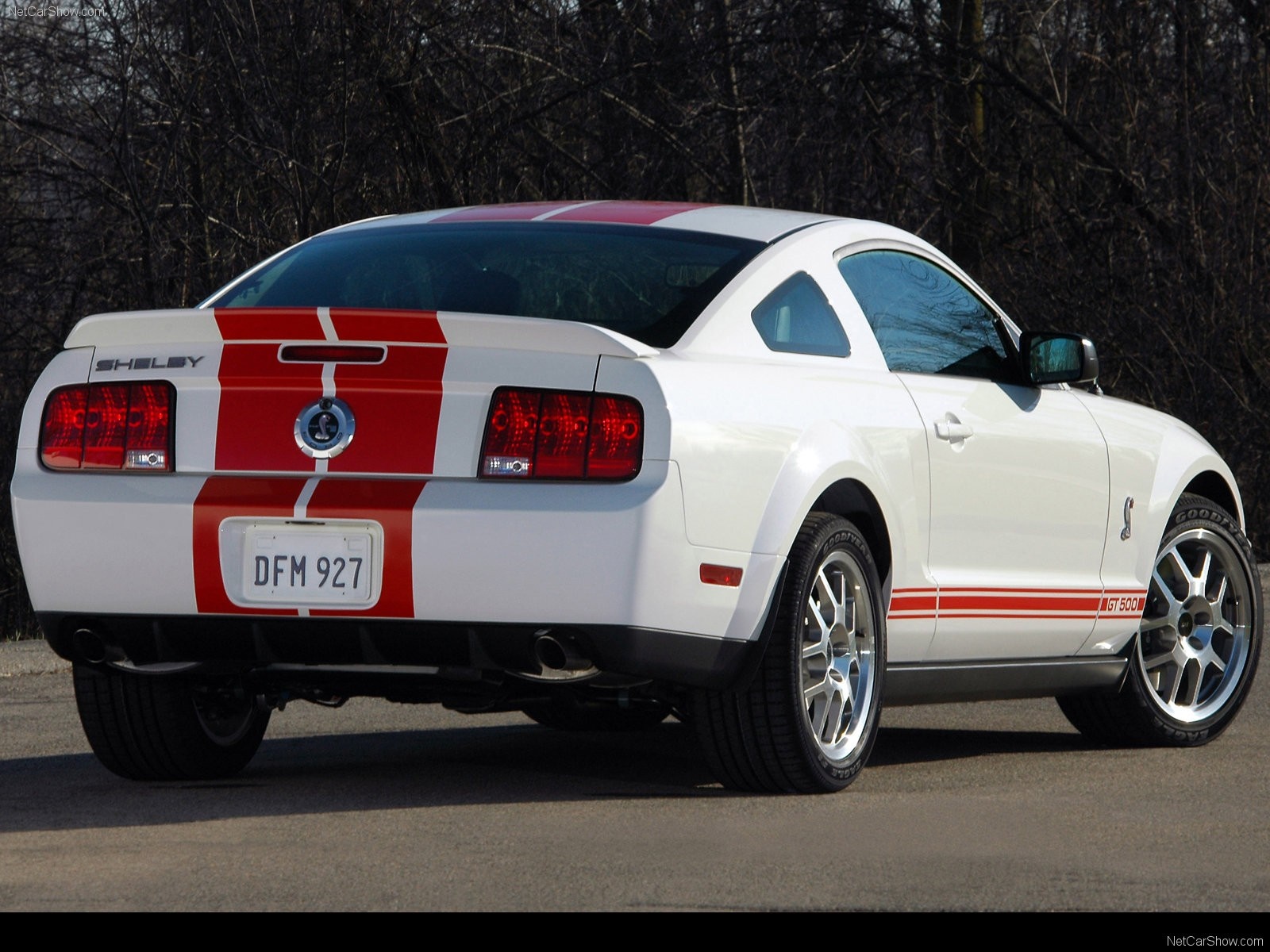 White Shelby GT500 Mustang with Red Stripes HD Wallpaper