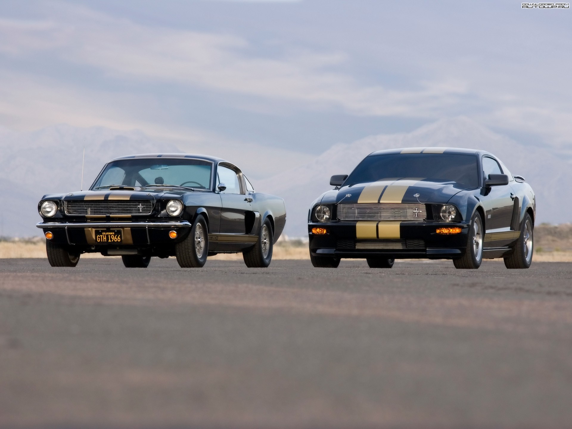 Two Ford Mustang Shelby GT500 cars on a road HD Wallpaper