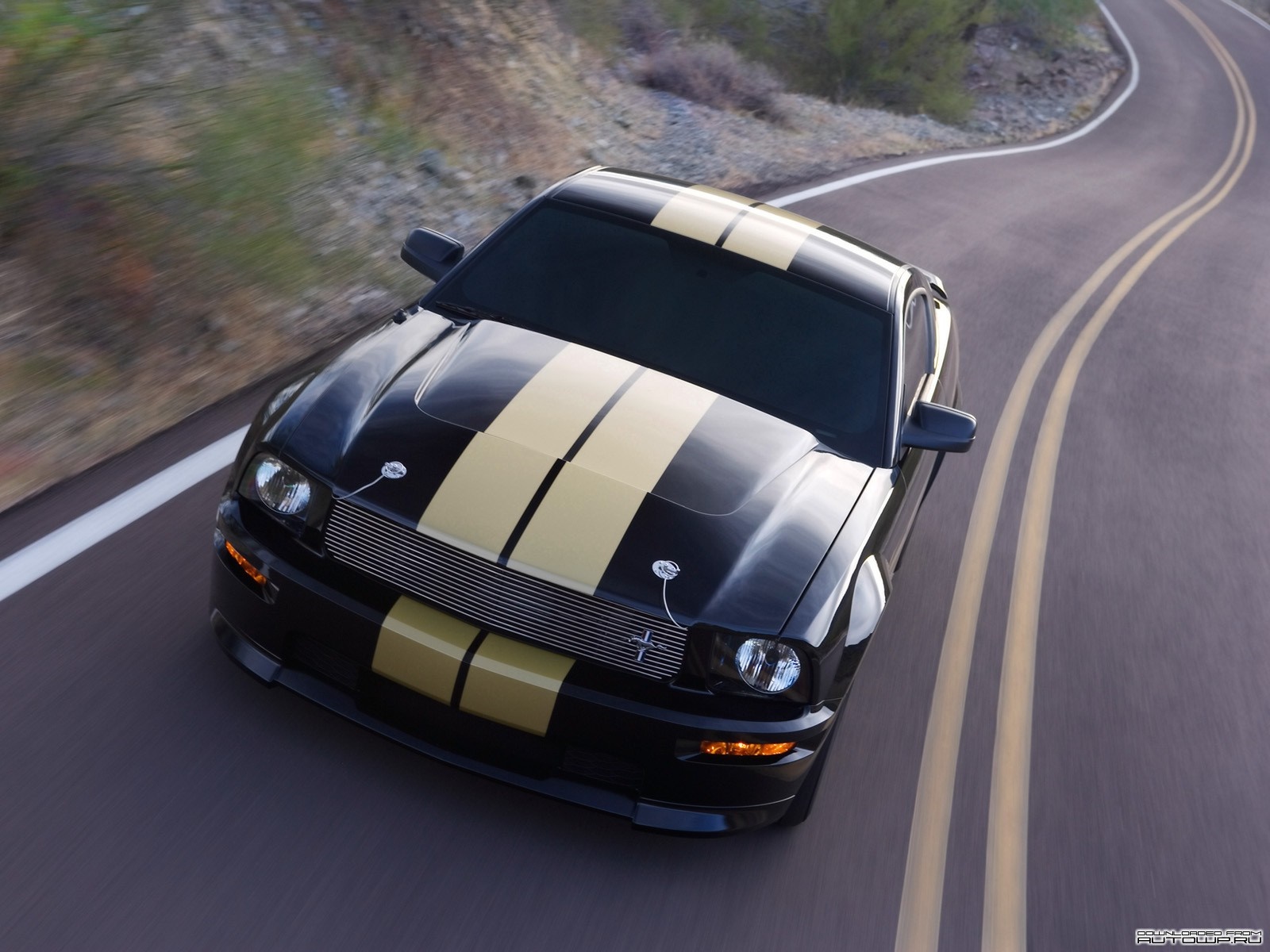 Black Ford Shelby Mustang GT500 on a Winding Road HD Wallpaper
