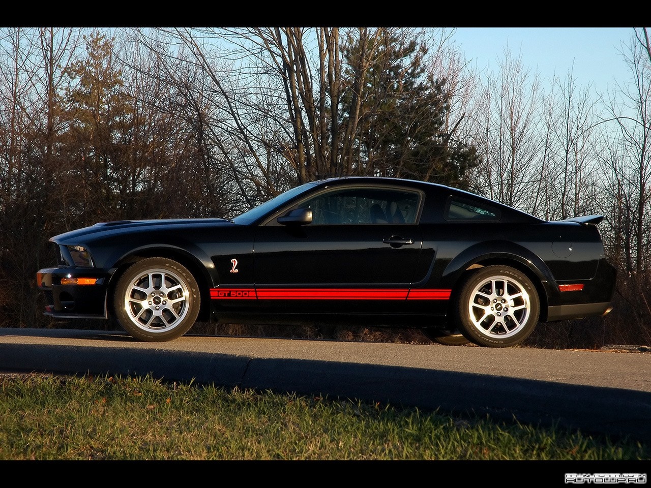 Black Ford Shelby GT500 Mustang parked outdoors HD Wallpaper