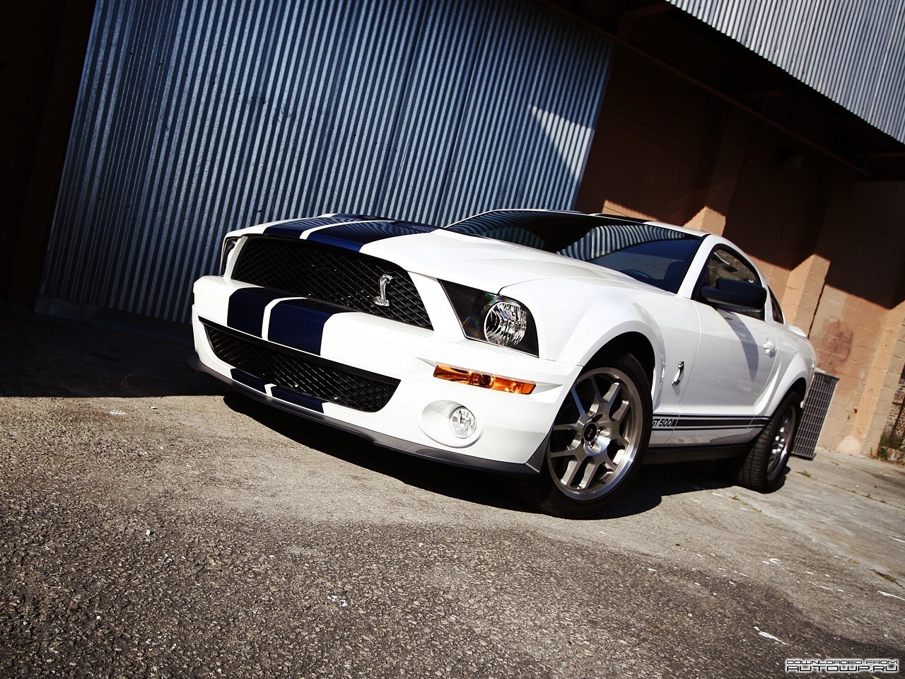 White Ford Shelby Mustang GT500 with Blue Stripes HD Wallpaper