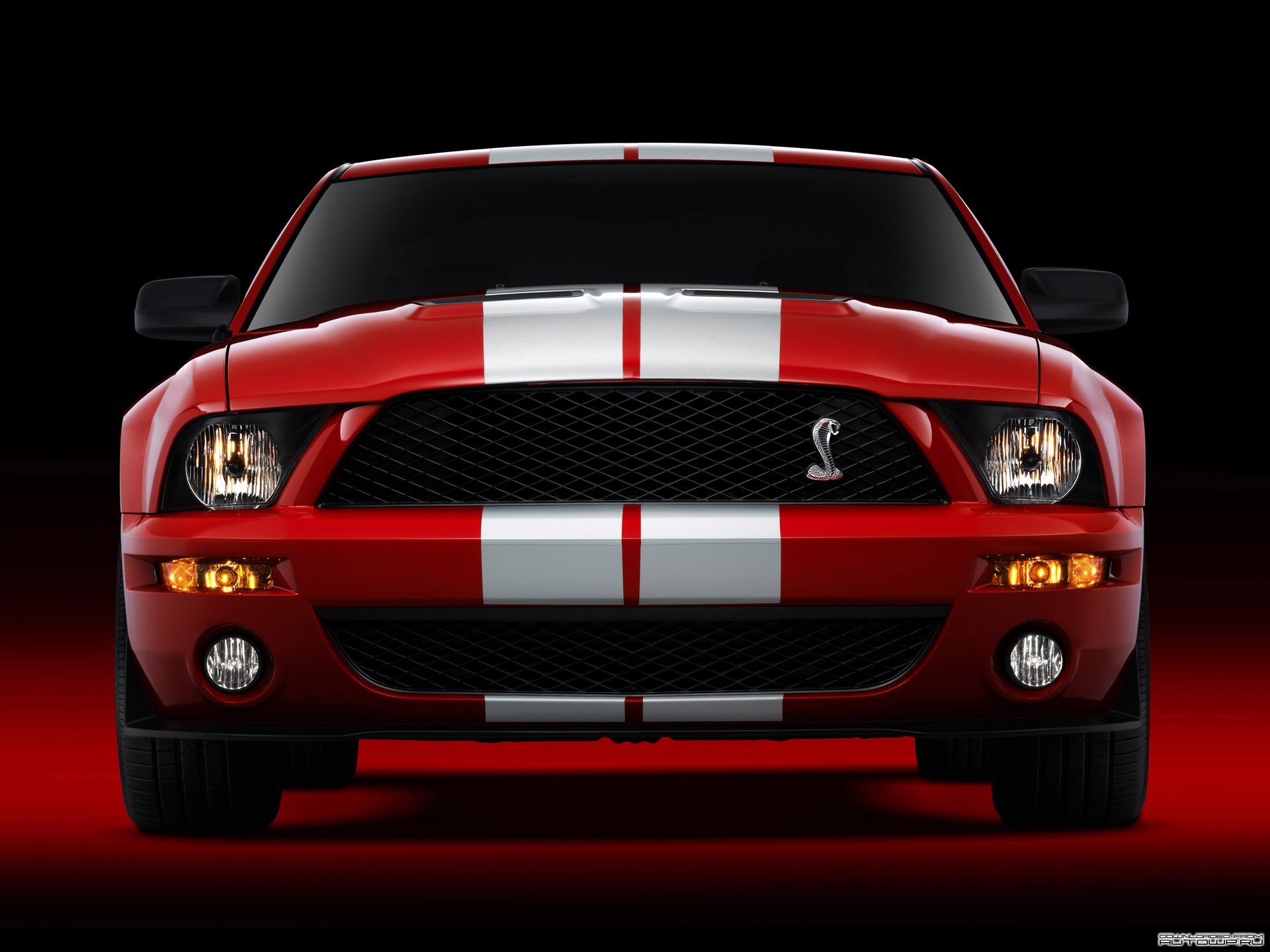 Red Ford Shelby Mustang GT500 with white stripes HD Wallpaper