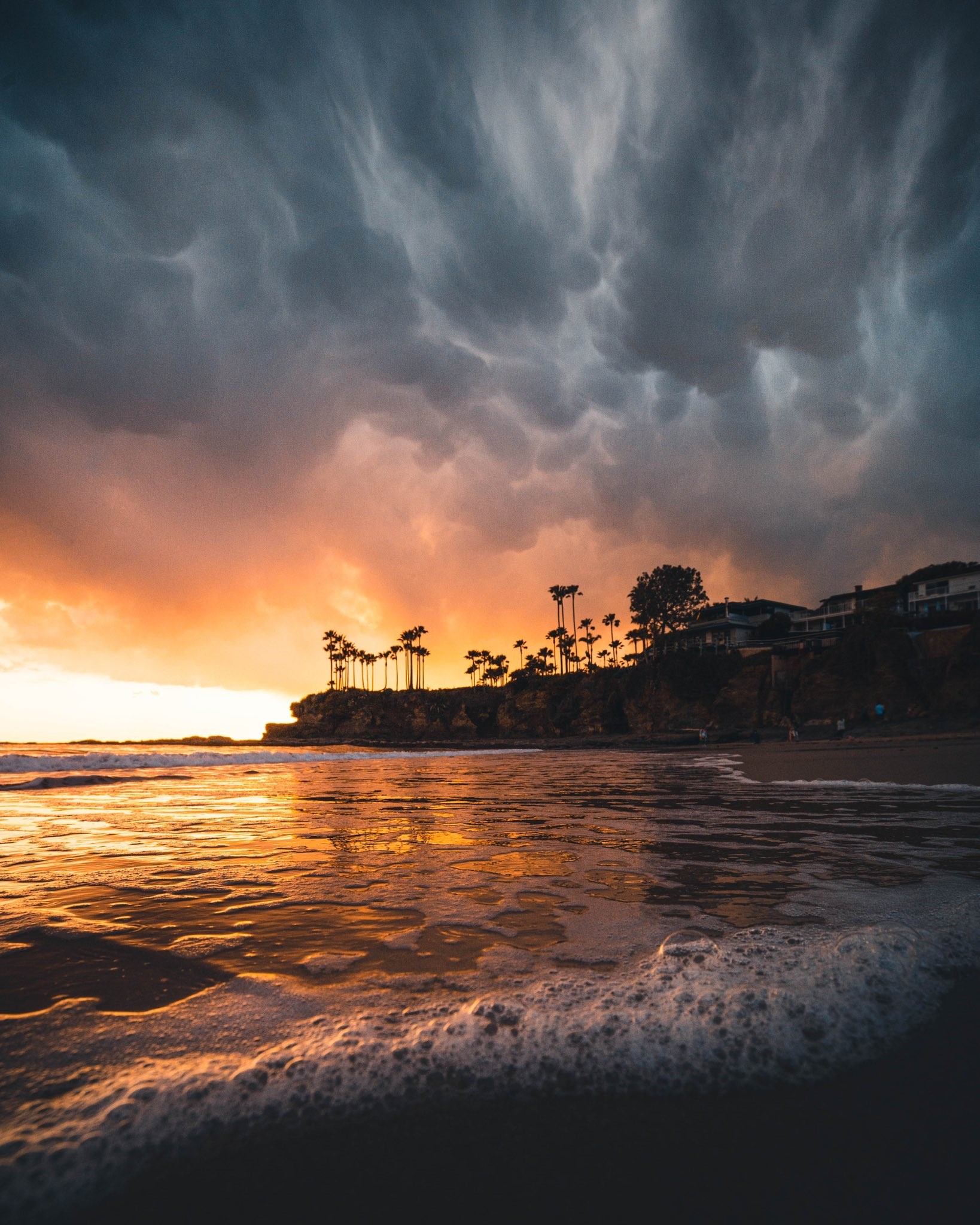 Sunset over a beach with palm trees and waves HD Phone Wallpaper