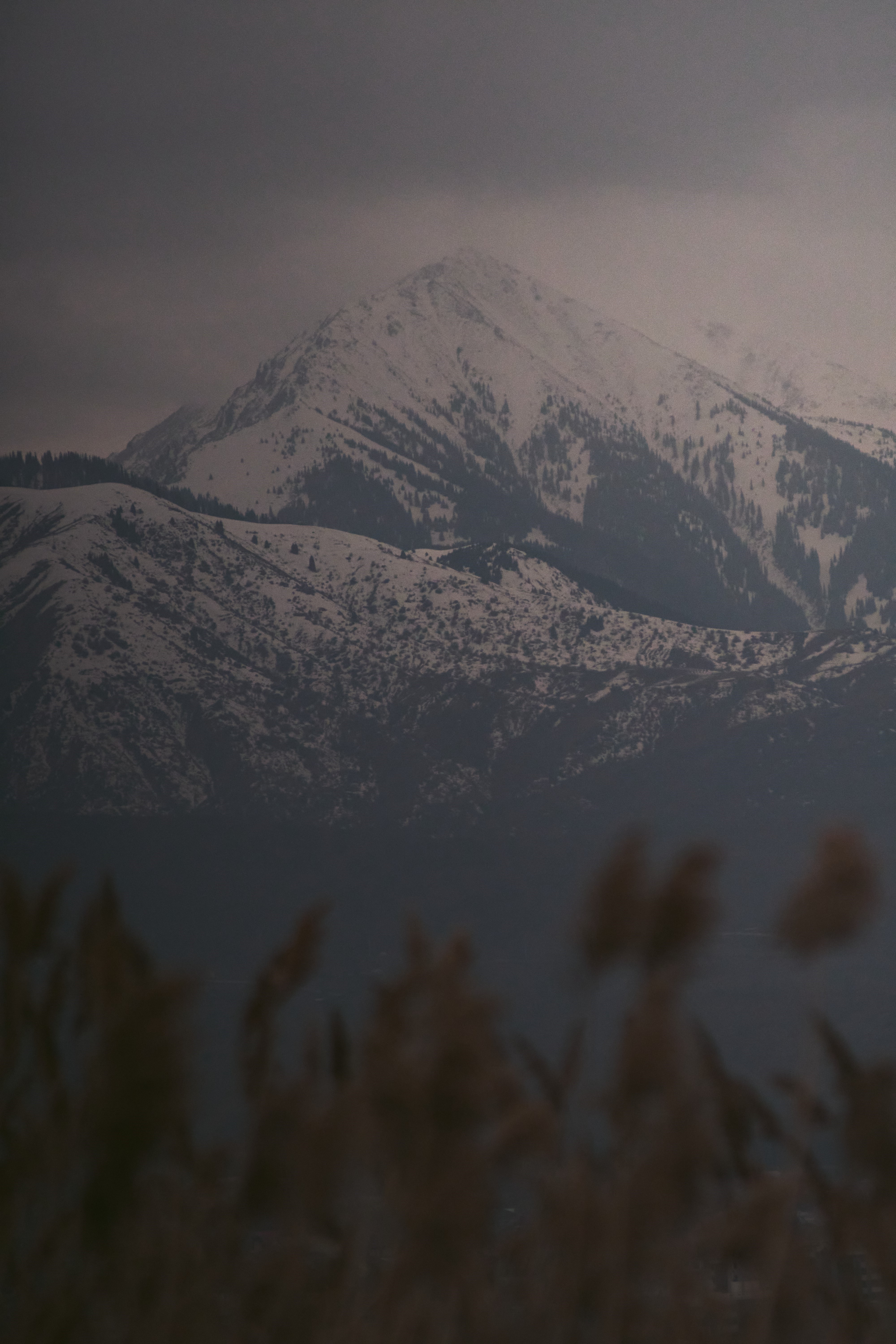 Snowy mountains shrouded in mist HD Phone Wallpaper