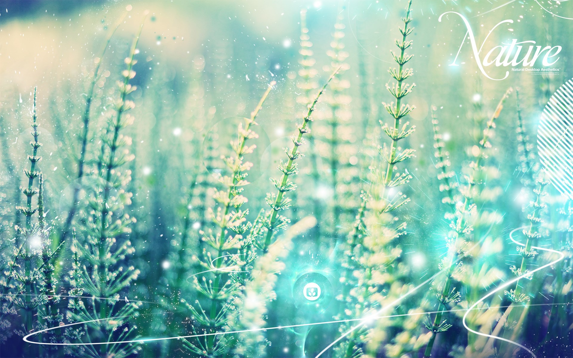 Nature Desktop Aesthetics with Horsetail Plants HD Wallpaper