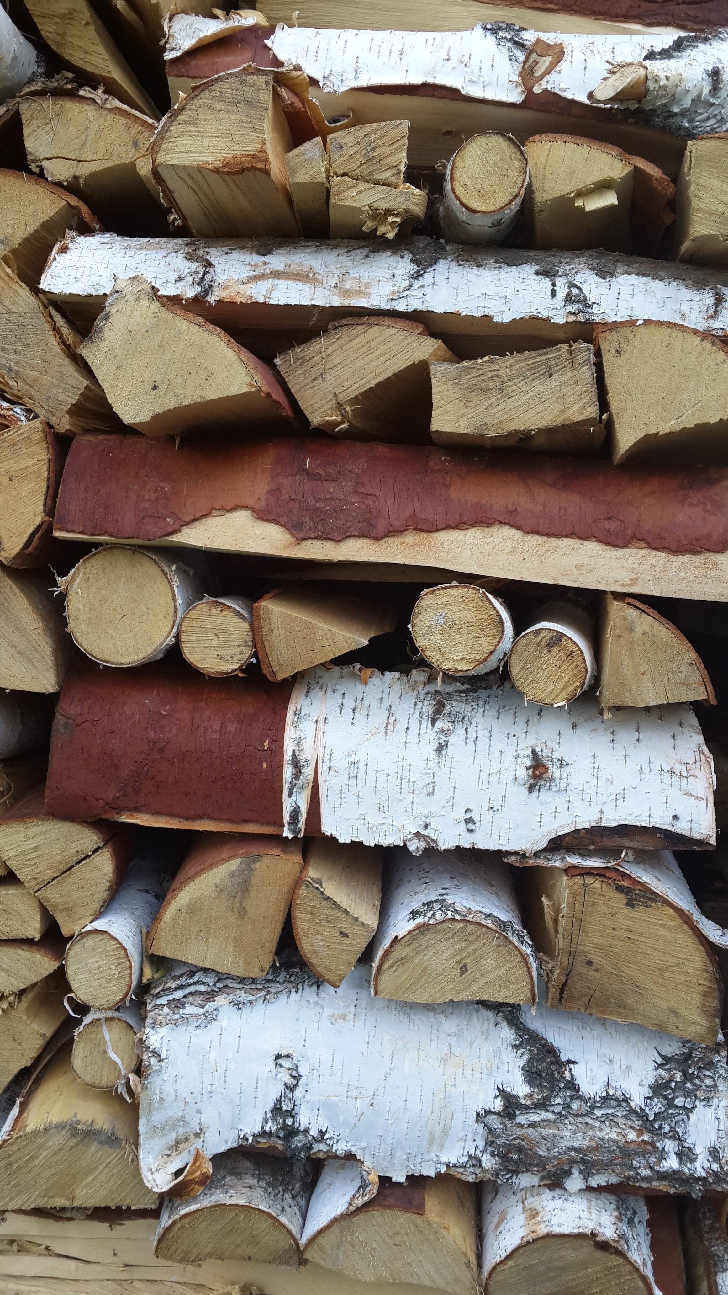 Stack of birch firewood HD Phone Wallpaper