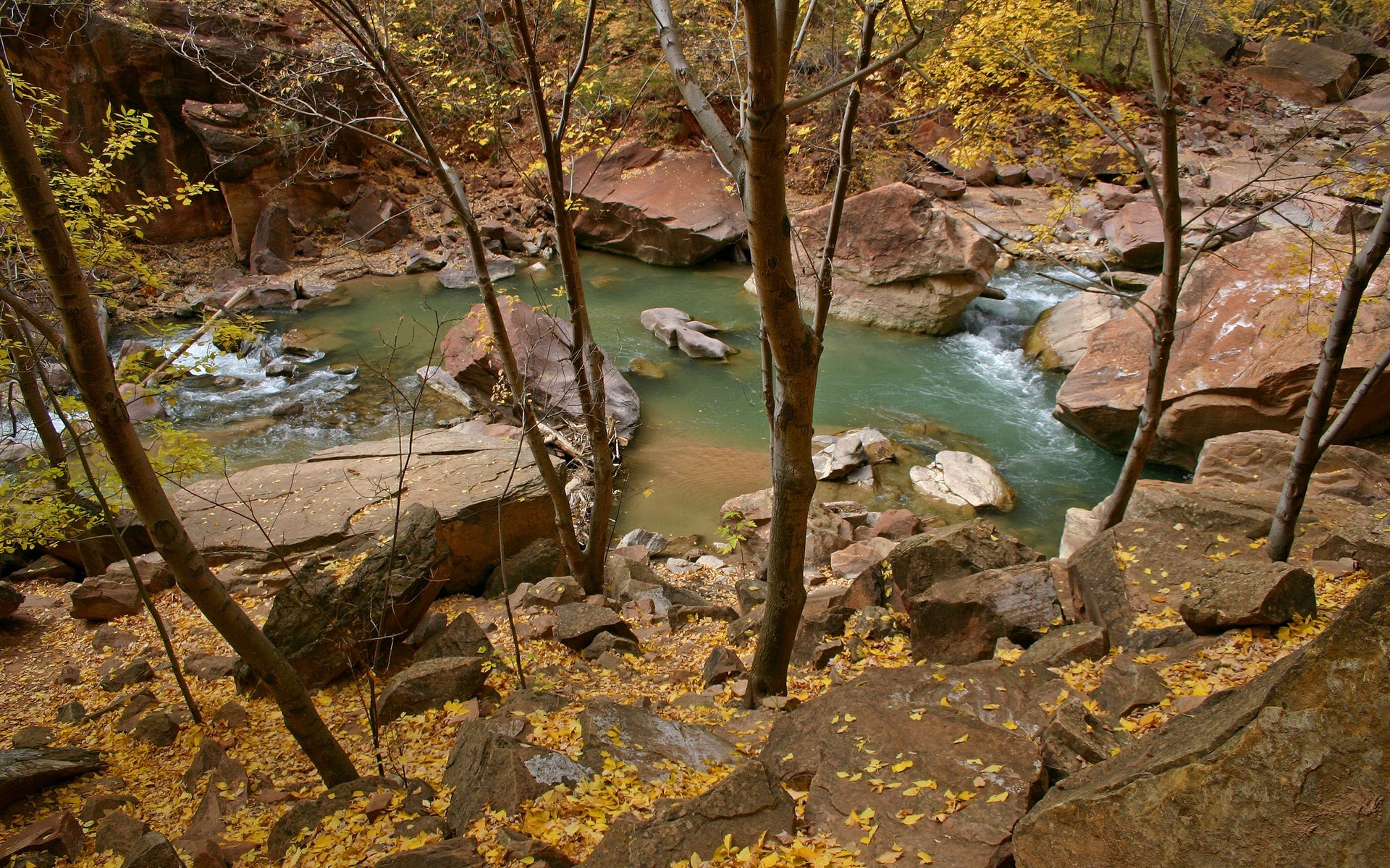 River flowing through rocky canyon with autumn leaves HD Wallpaper