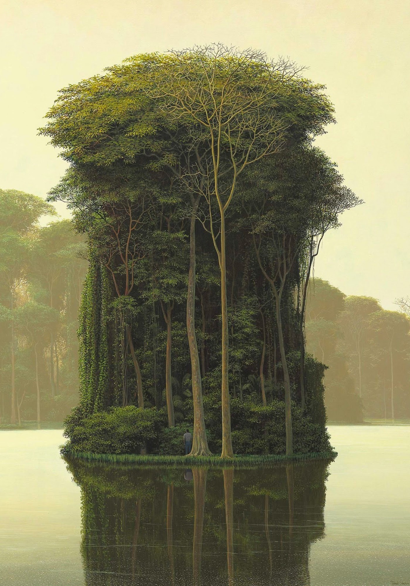 A surreal island forest in a lake HD Phone Wallpaper