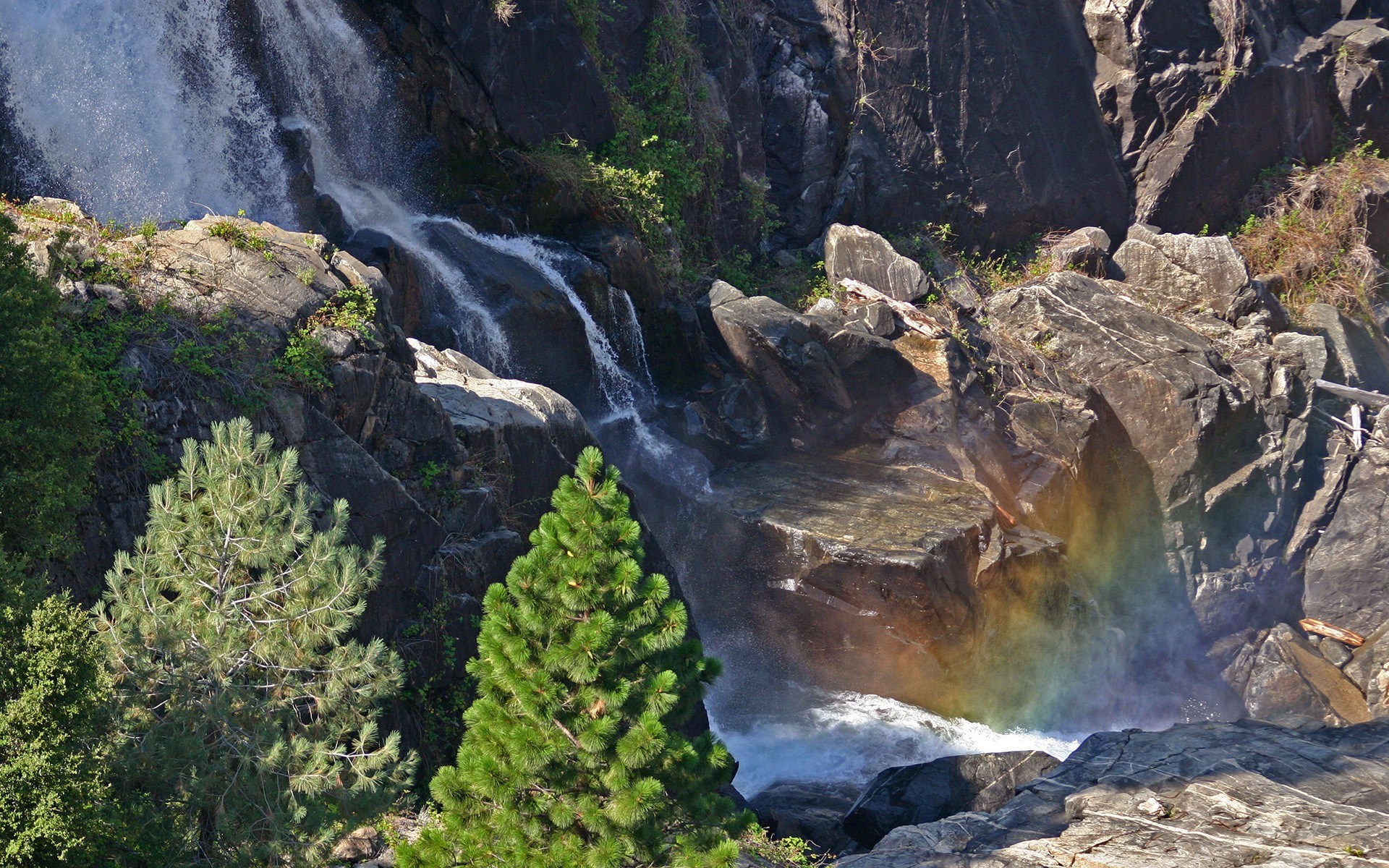 Waterfall with Rainbow and Pine Trees HD Wallpaper