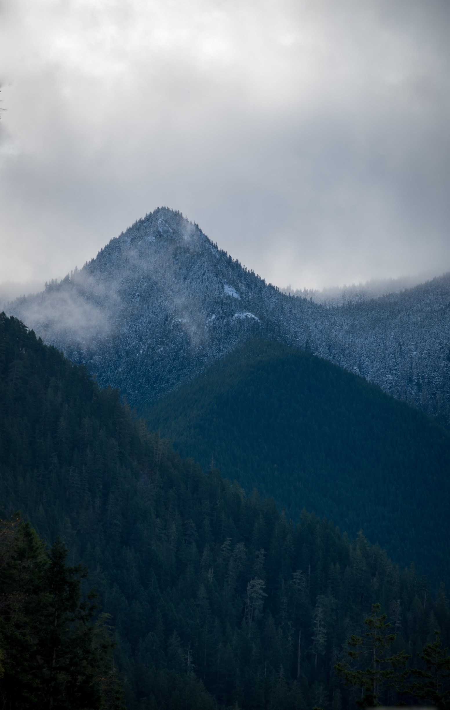 Snow-covered mountain peak with misty clouds and evergreen forest HD Phone Wallpaper