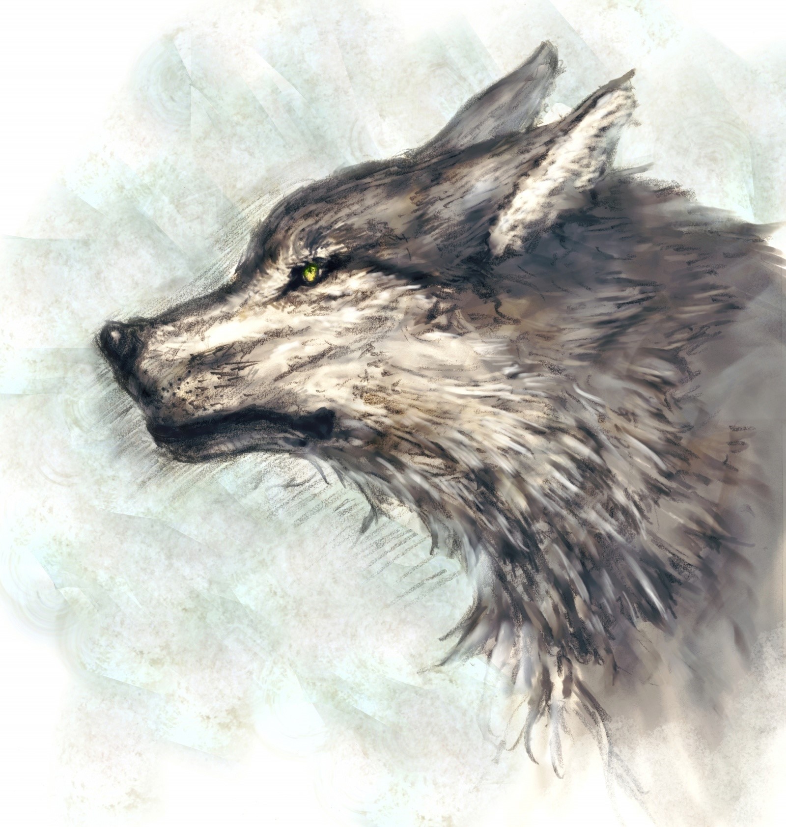 Wolf from Game of Thrones HD Phone Wallpaper