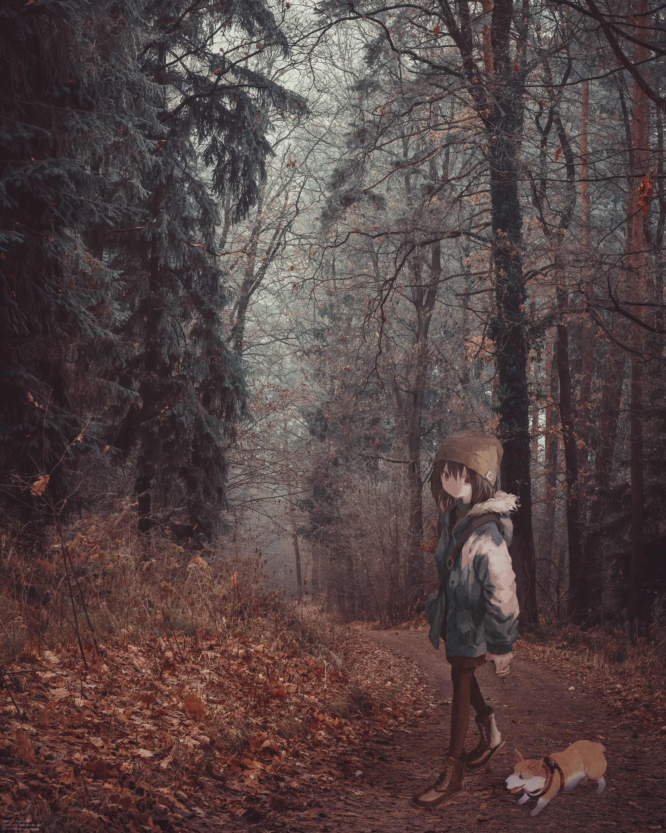 Anime girl and dog walking in a forest HD Phone Wallpaper