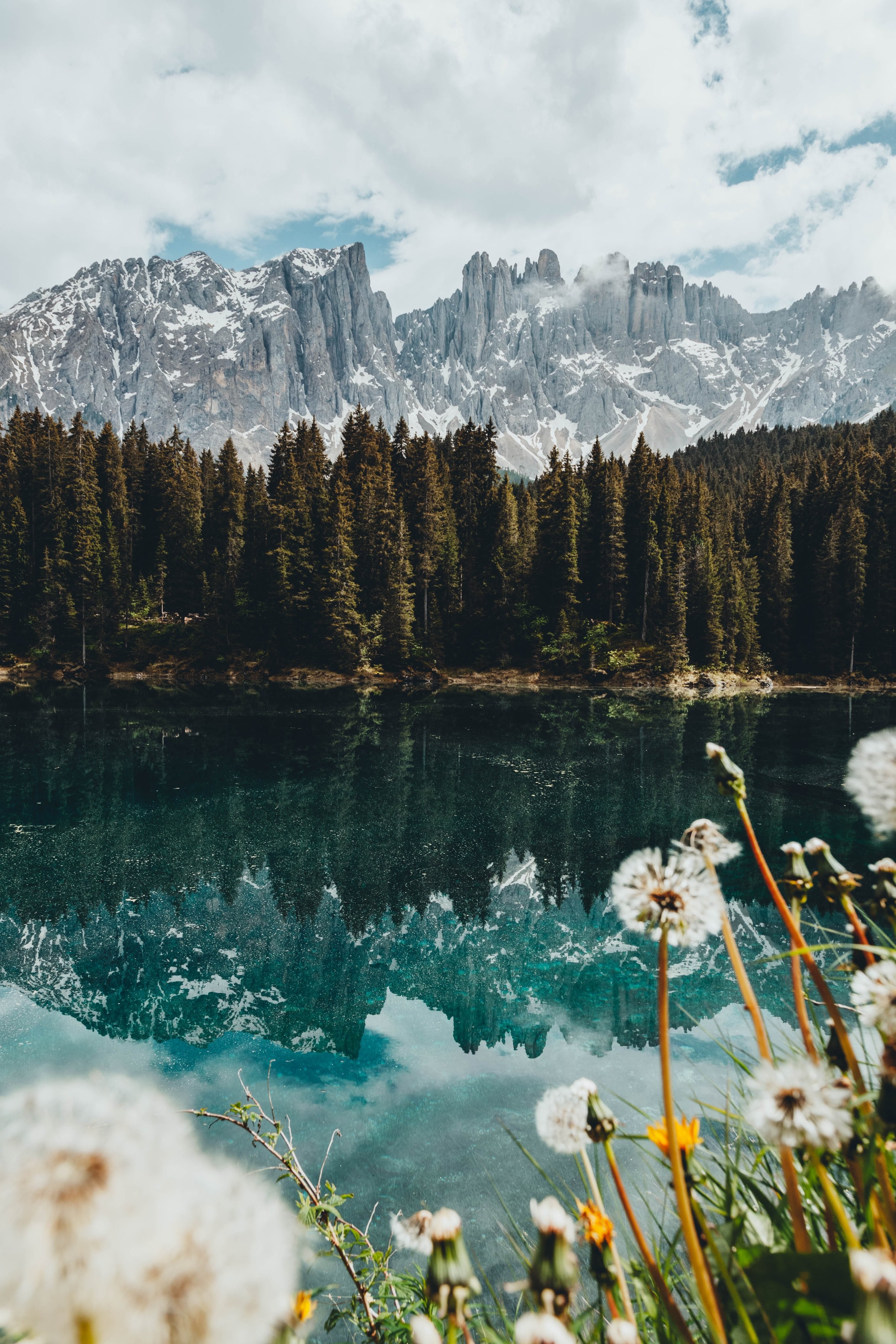 Lake with pine trees and snowy mountains HD Phone Wallpaper