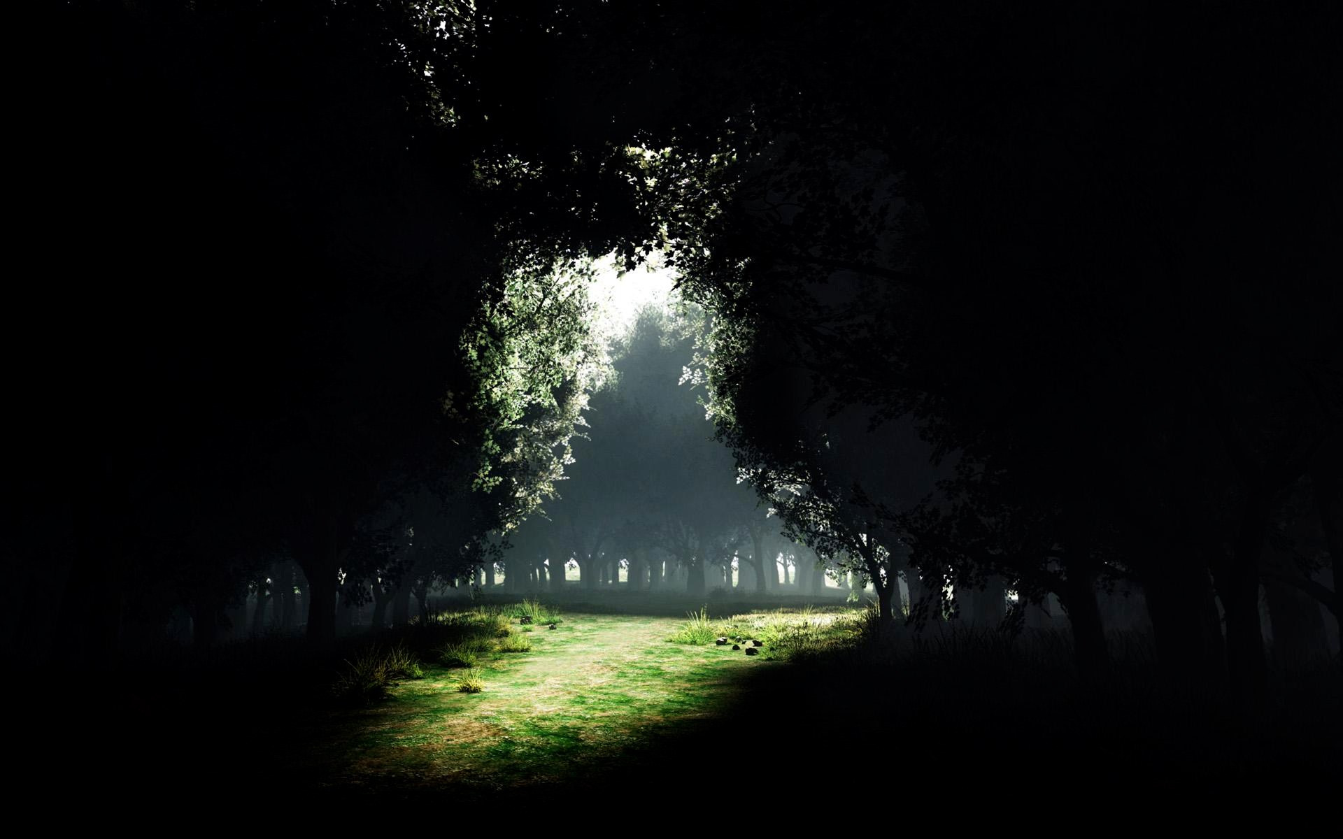 A path through a dark, misty forest with sunlight. HD Wallpaper