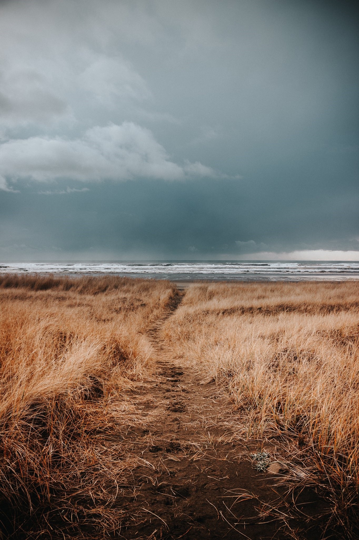 Path through tall grass to the sea under stormy clouds HD Phone Wallpaper