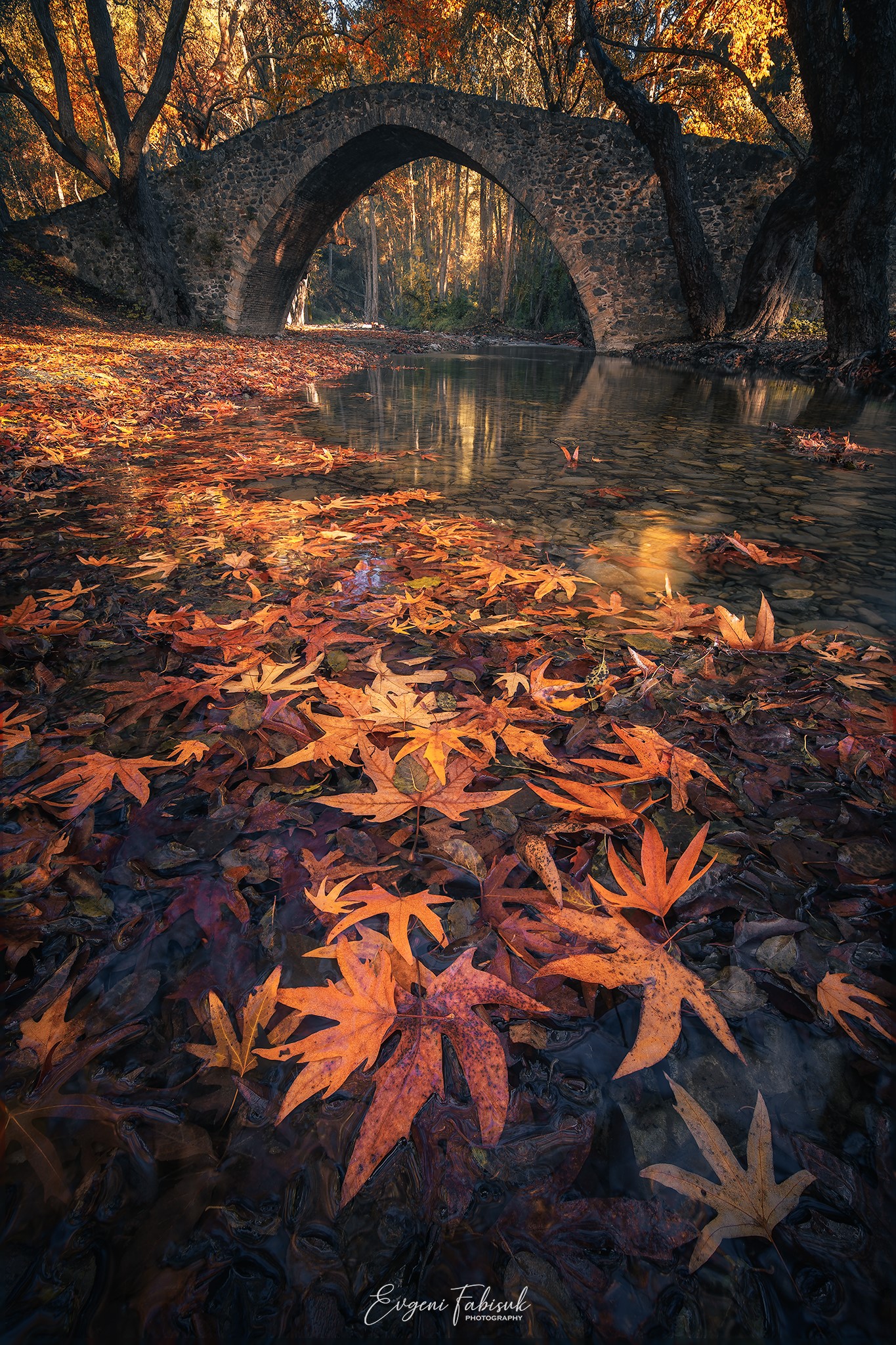 Stone arch bridge over a stream with autumn leaves HD Phone Wallpaper