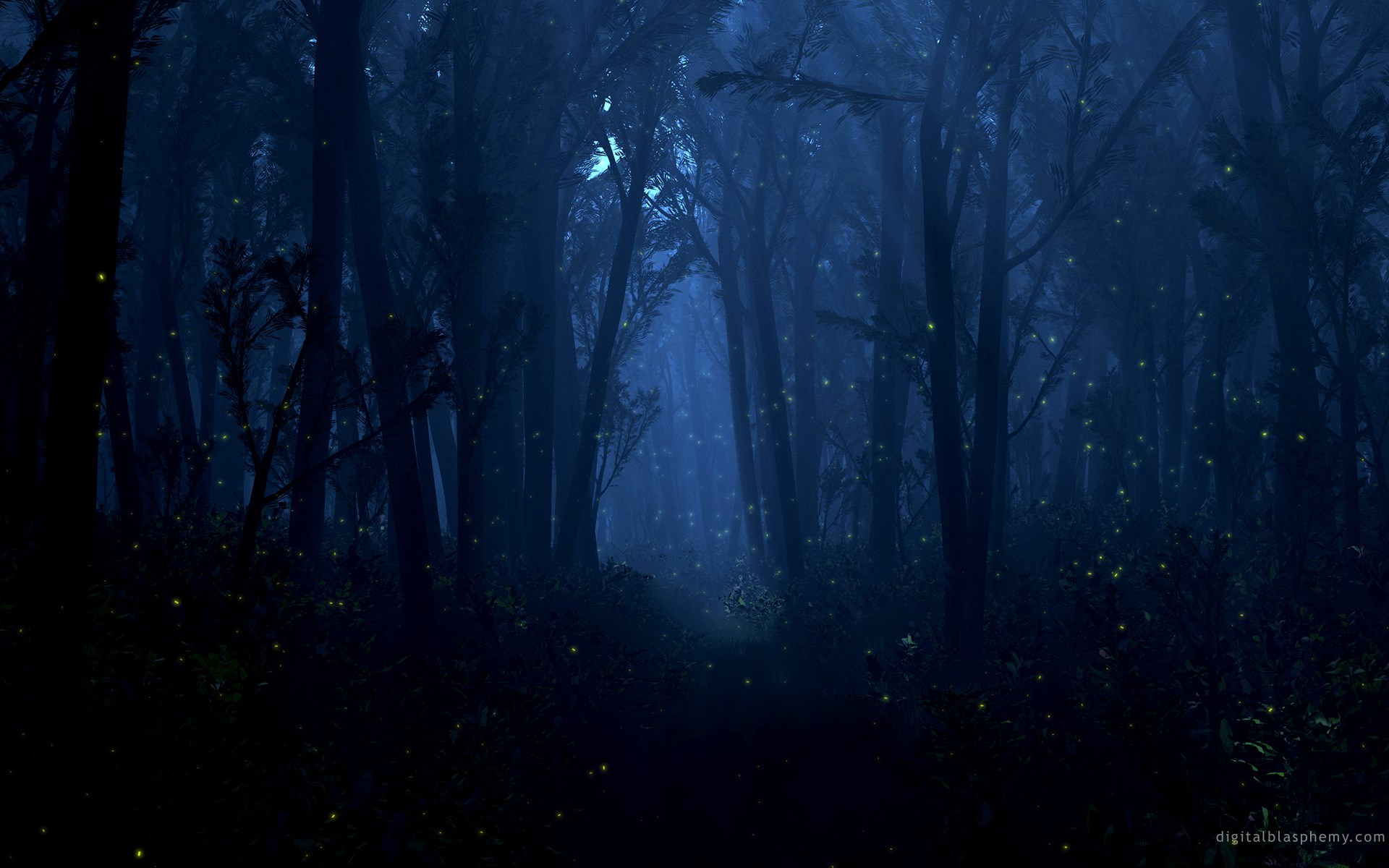 Enchanted Forest with Fireflies at Night HD Wallpaper