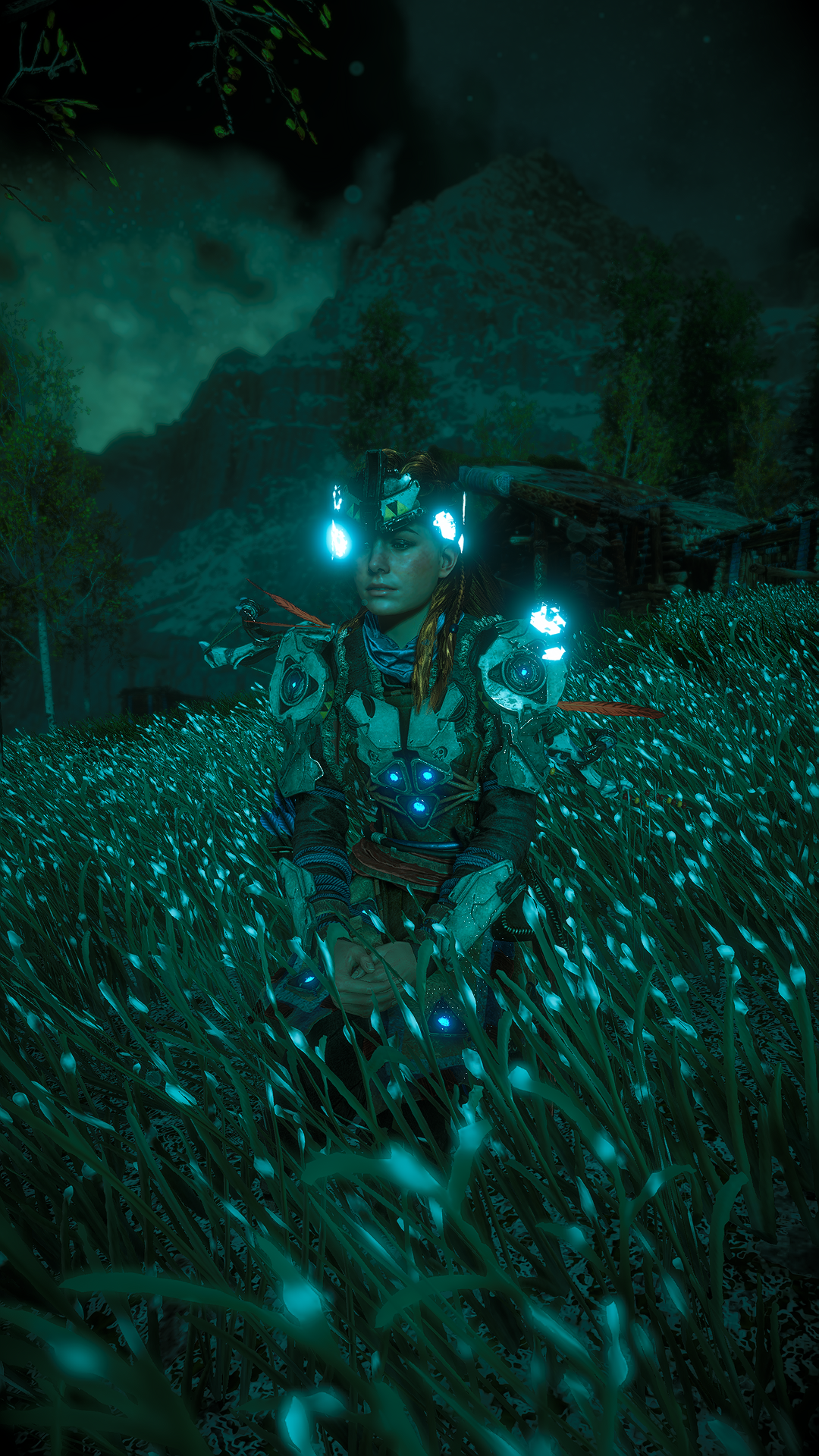 Aloy from Horizon: Zero Dawn in a field HD Phone Wallpaper