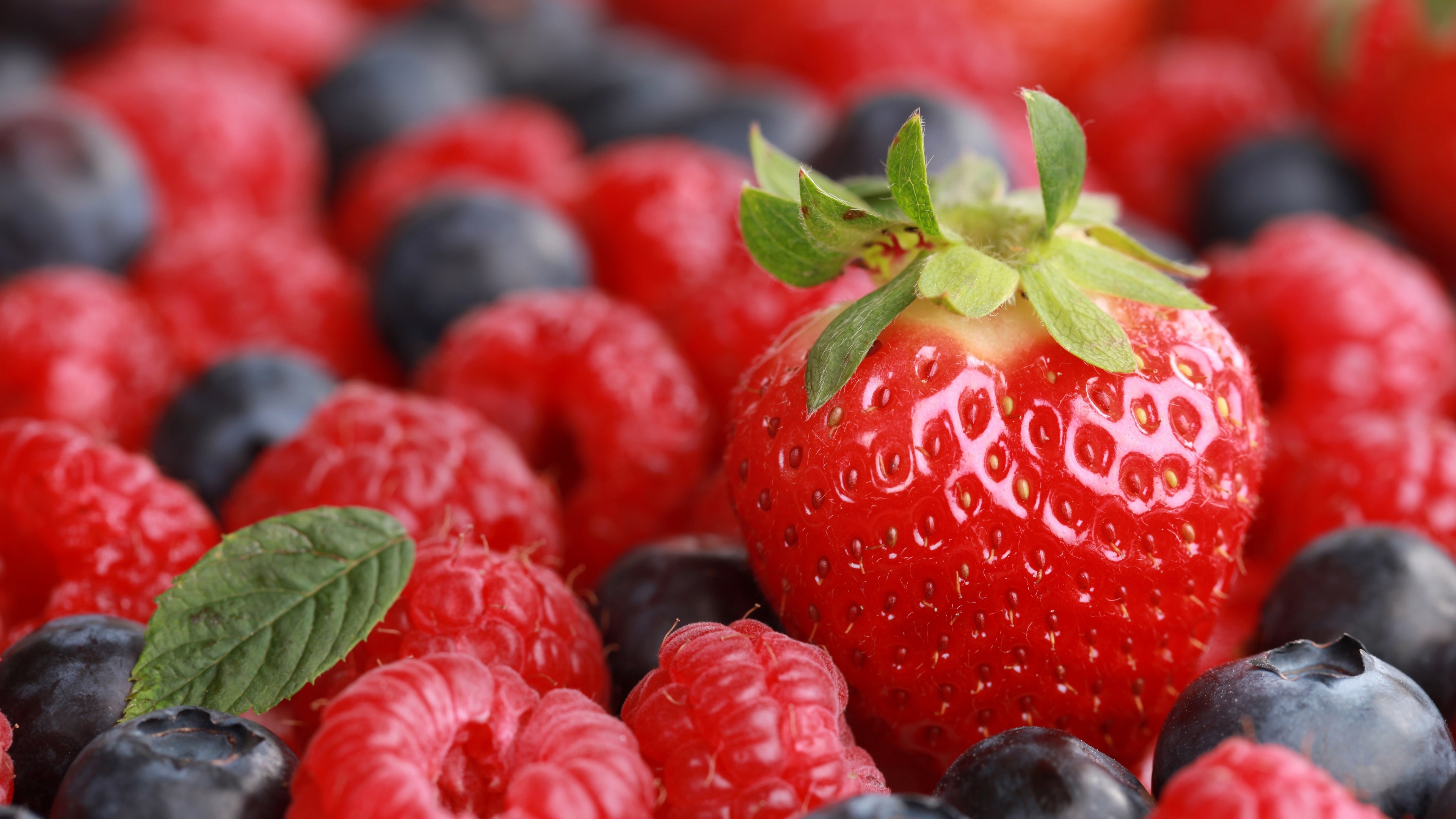Close-up of Strawberries, Raspberries, and Blueberries HD Wallpaper