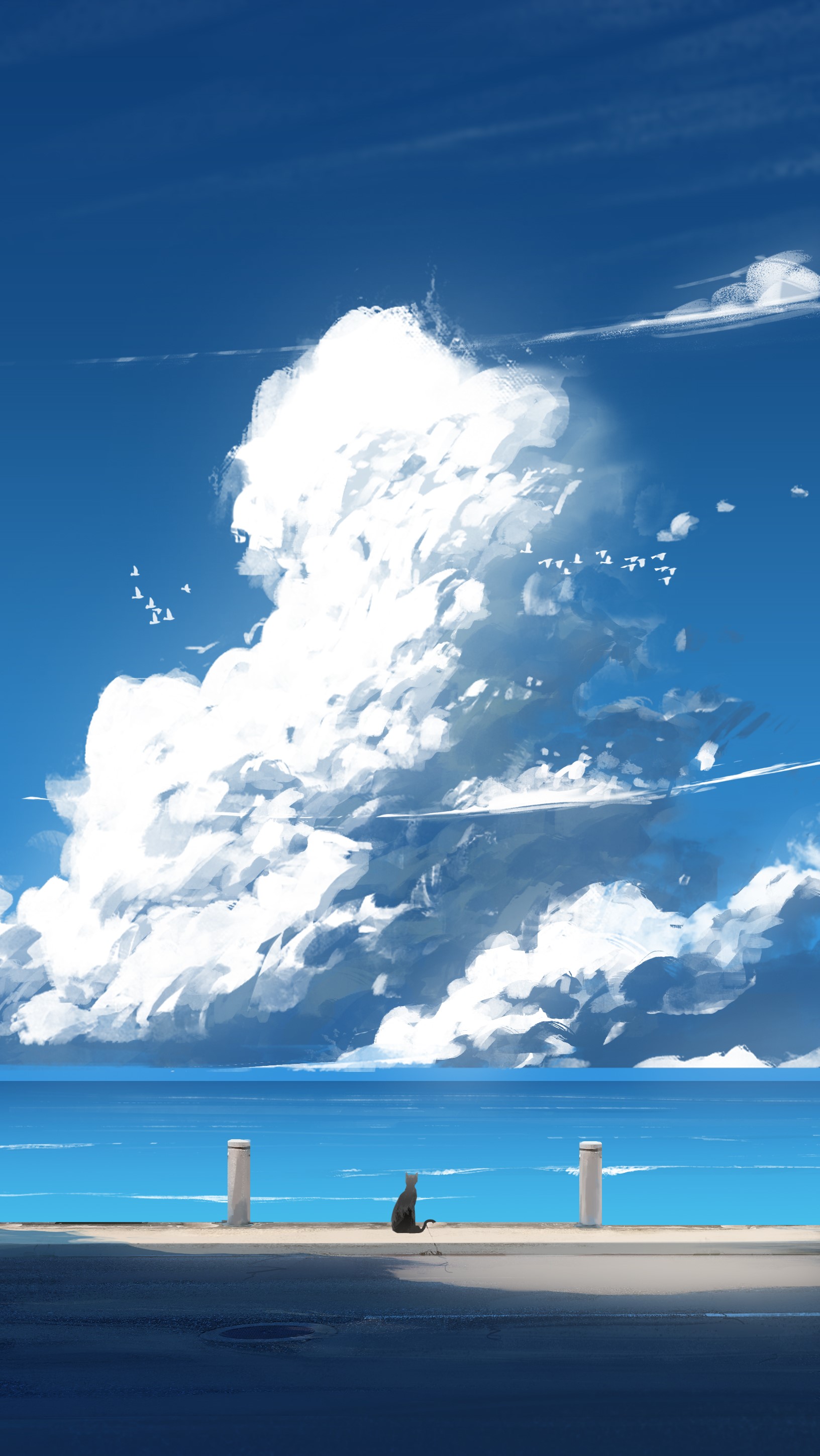 Black cat on a coast with clouds and birds HD Phone Wallpaper