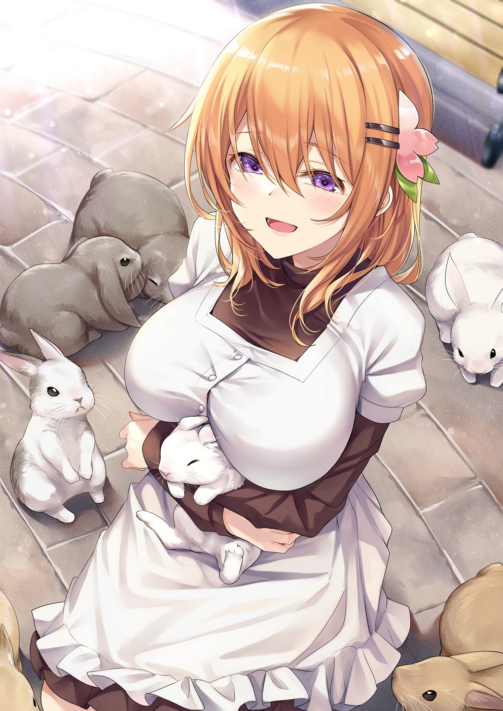 Hoto Kokoa from Gochuumon wa Usagi Desu ka? with rabbits HD Phone Wallpaper