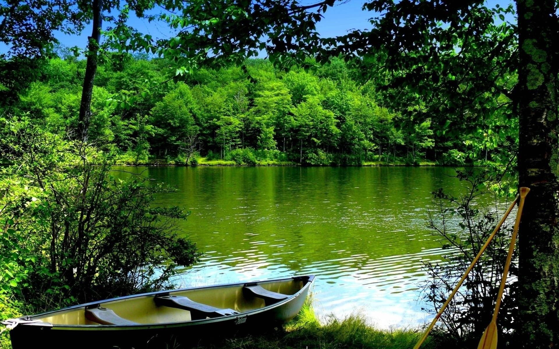 Canoe and paddles by a lake in a forest HD Wallpaper