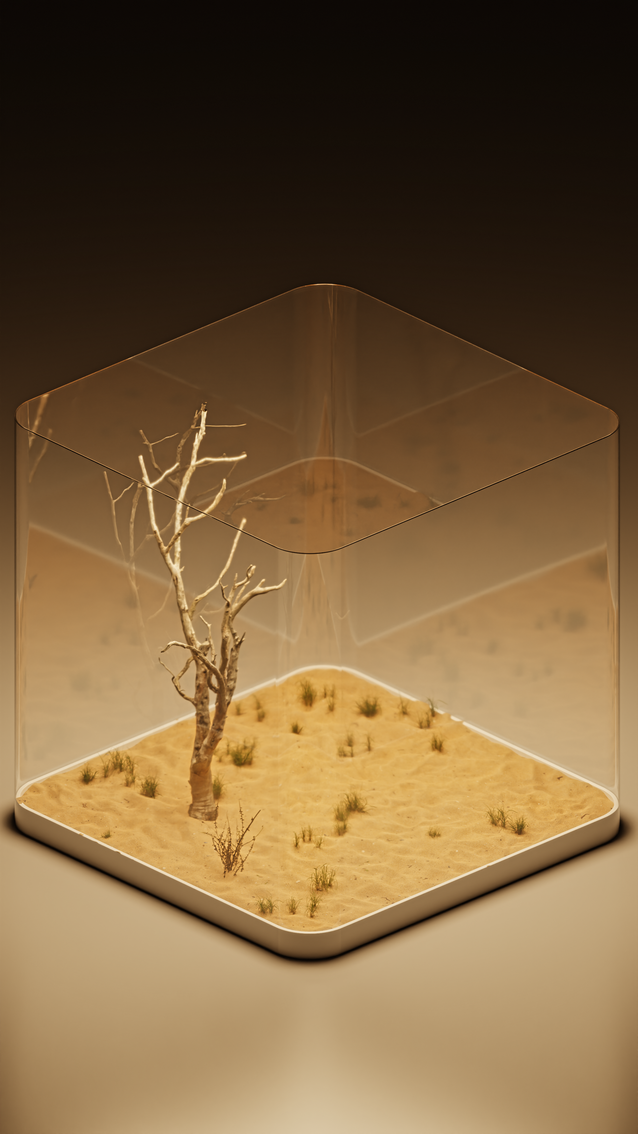A dead tree in a desert diorama inside a glass cube HD Phone Wallpaper
