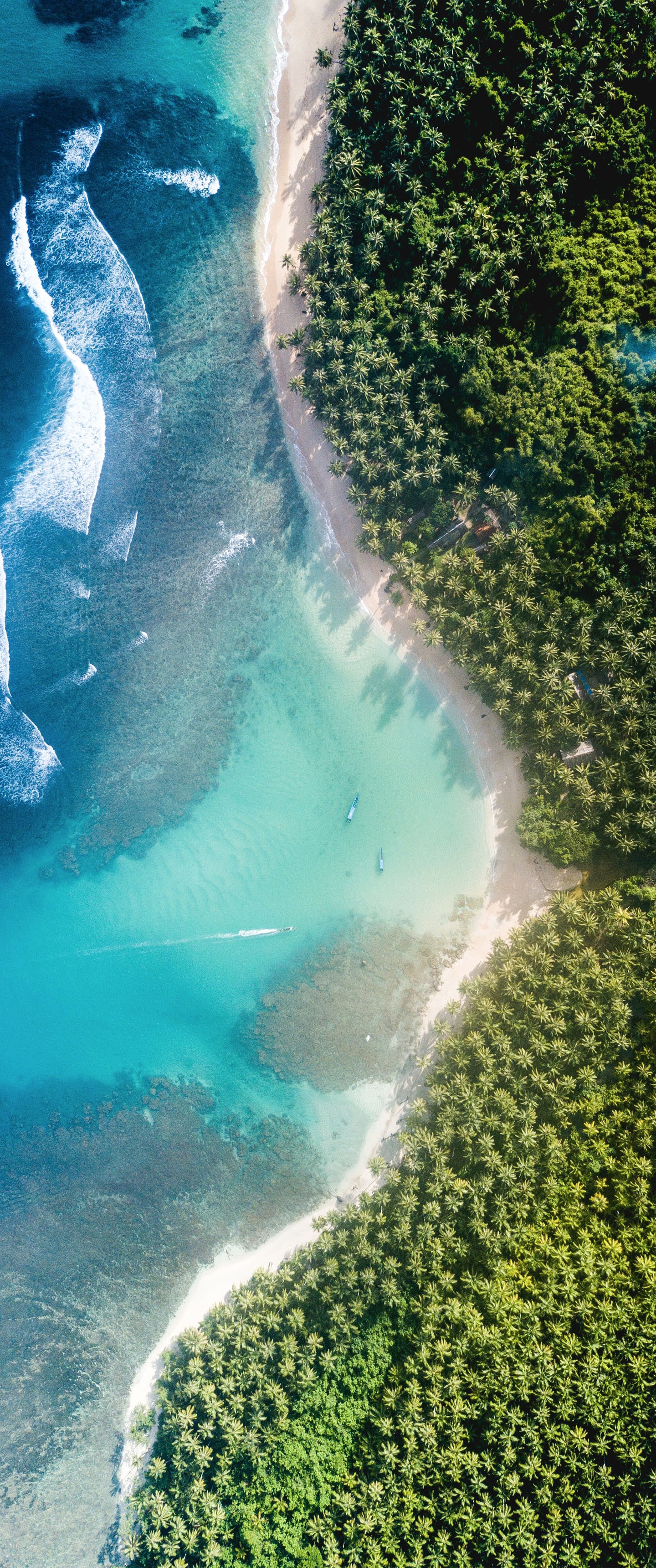 Aerial view of a tropical island beach with palm trees and turquoise water HD Phone Wallpaper