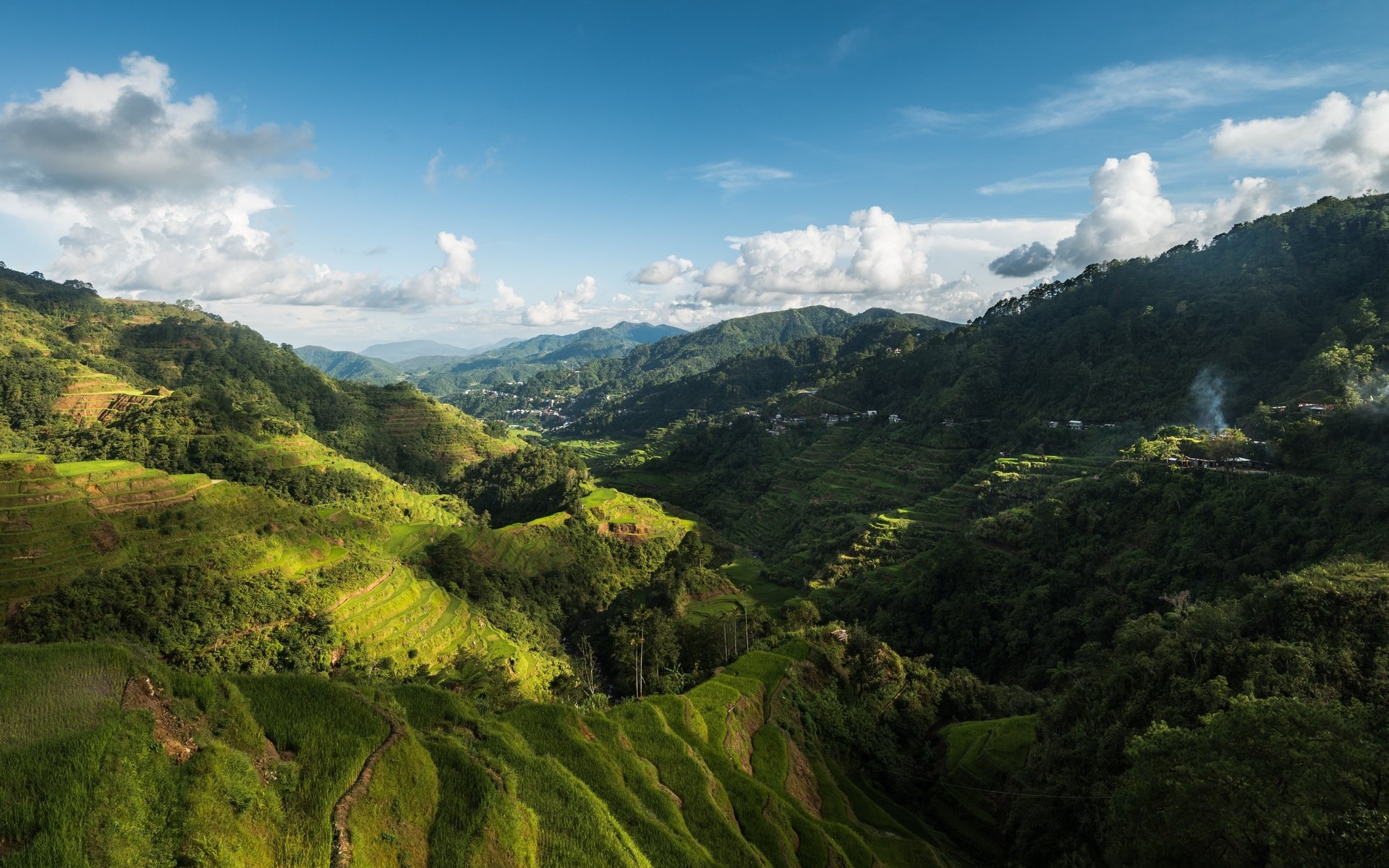 Terraced rice fields on a mountainside under a blue sky HD Wallpaper