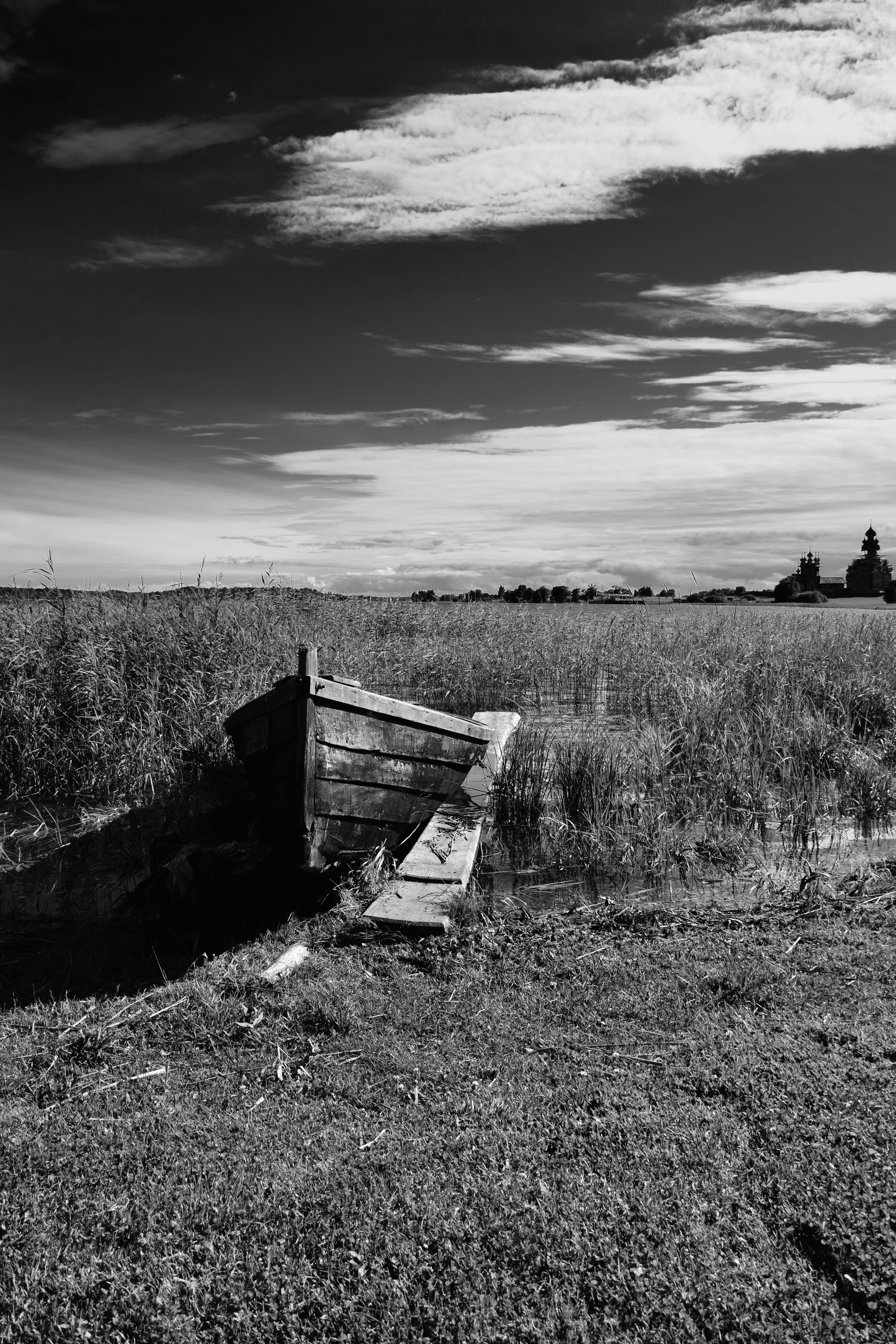 Old wooden boat in reeds by a body of water HD Phone Wallpaper