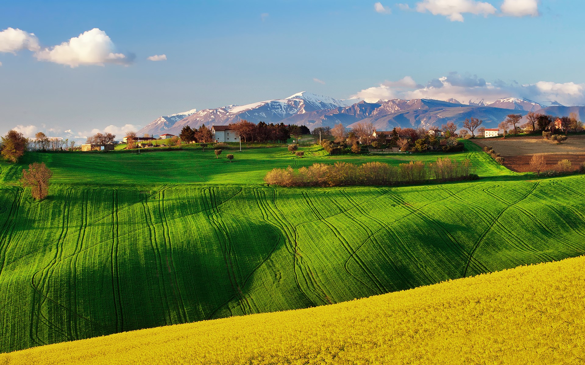 Rolling green hills with a yellow field and mountains HD Wallpaper