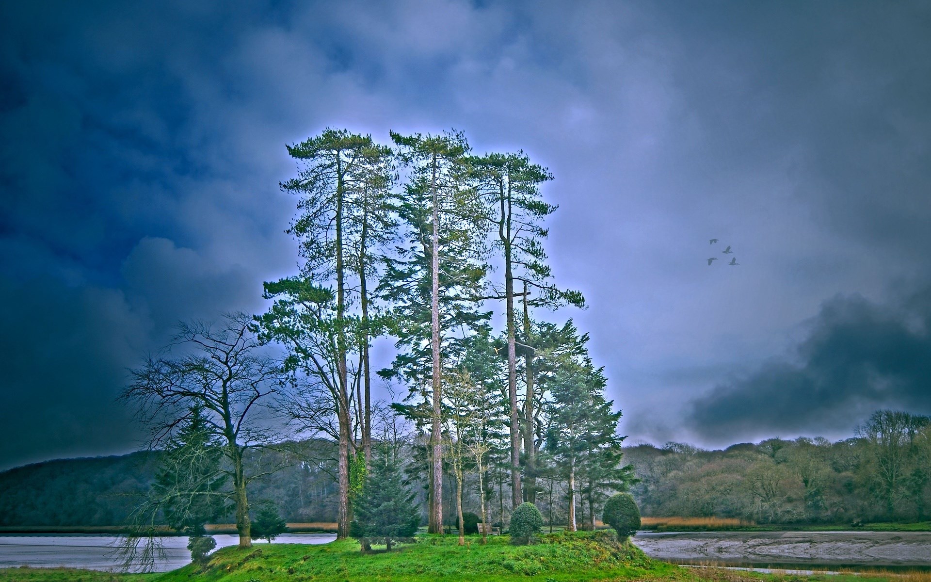 Trees on a small island with birds flying in a cloudy sky HD Wallpaper