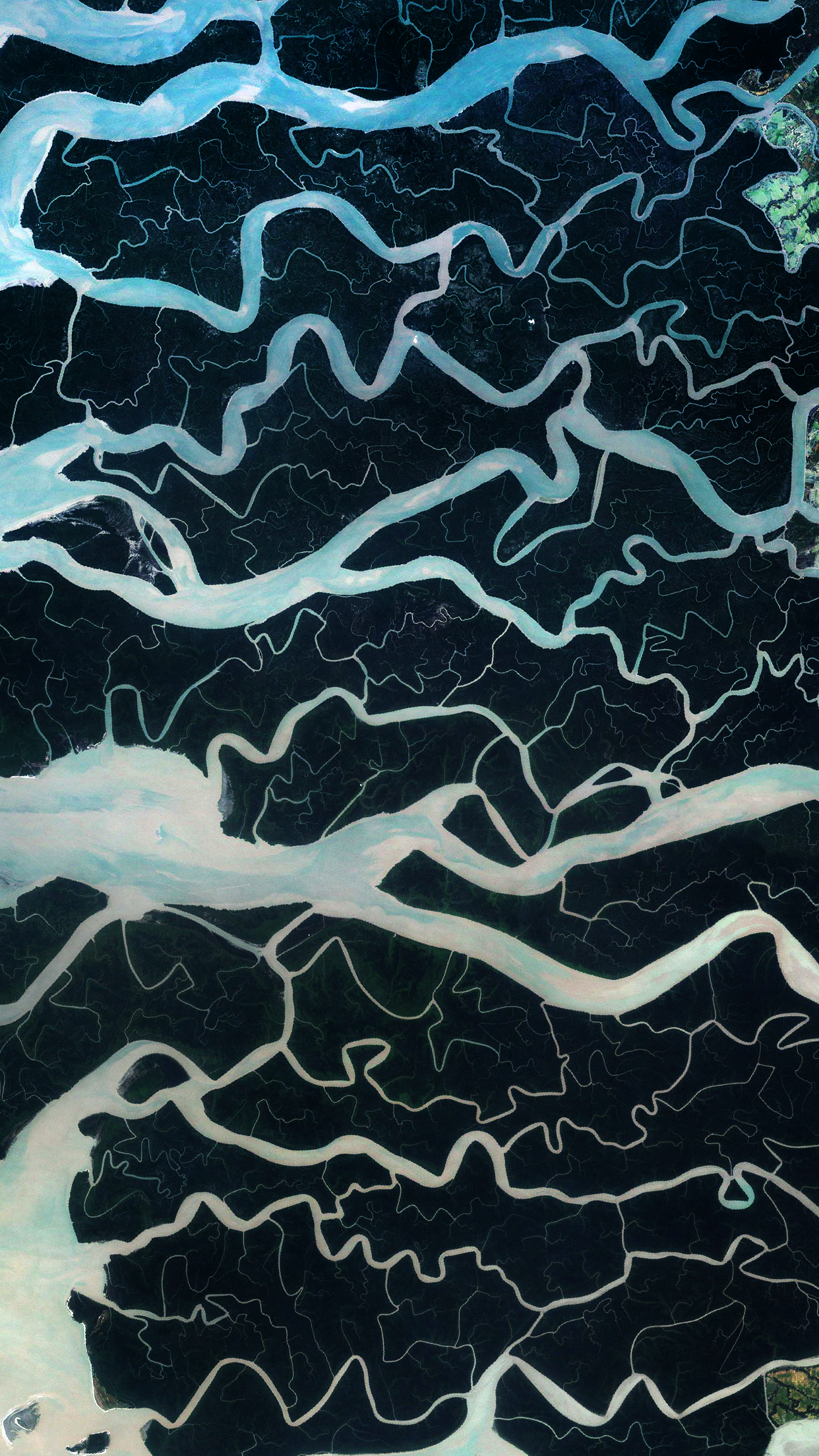 Aerial view of a river delta with intricate waterways HD Phone Wallpaper