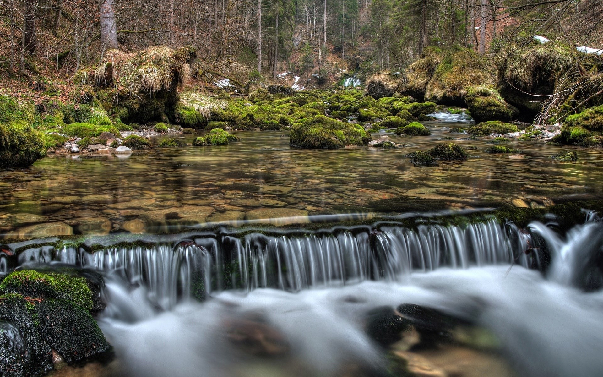 Mossy rocks in a forest stream with a small waterfall HD Wallpaper