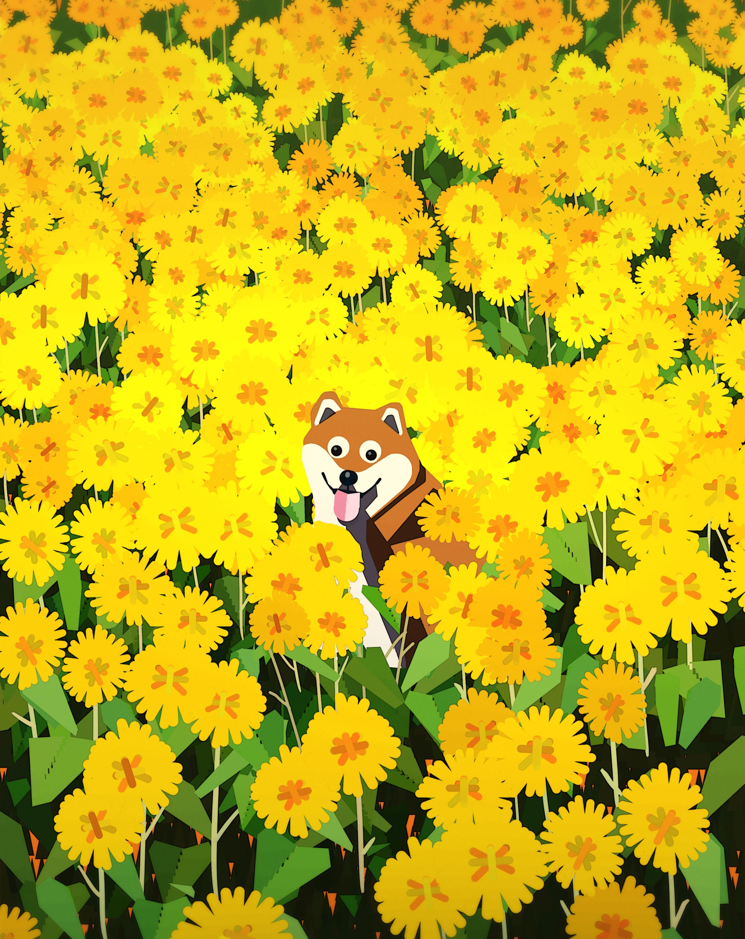 Shiba Inu dog in a field of yellow flowers HD Phone Wallpaper