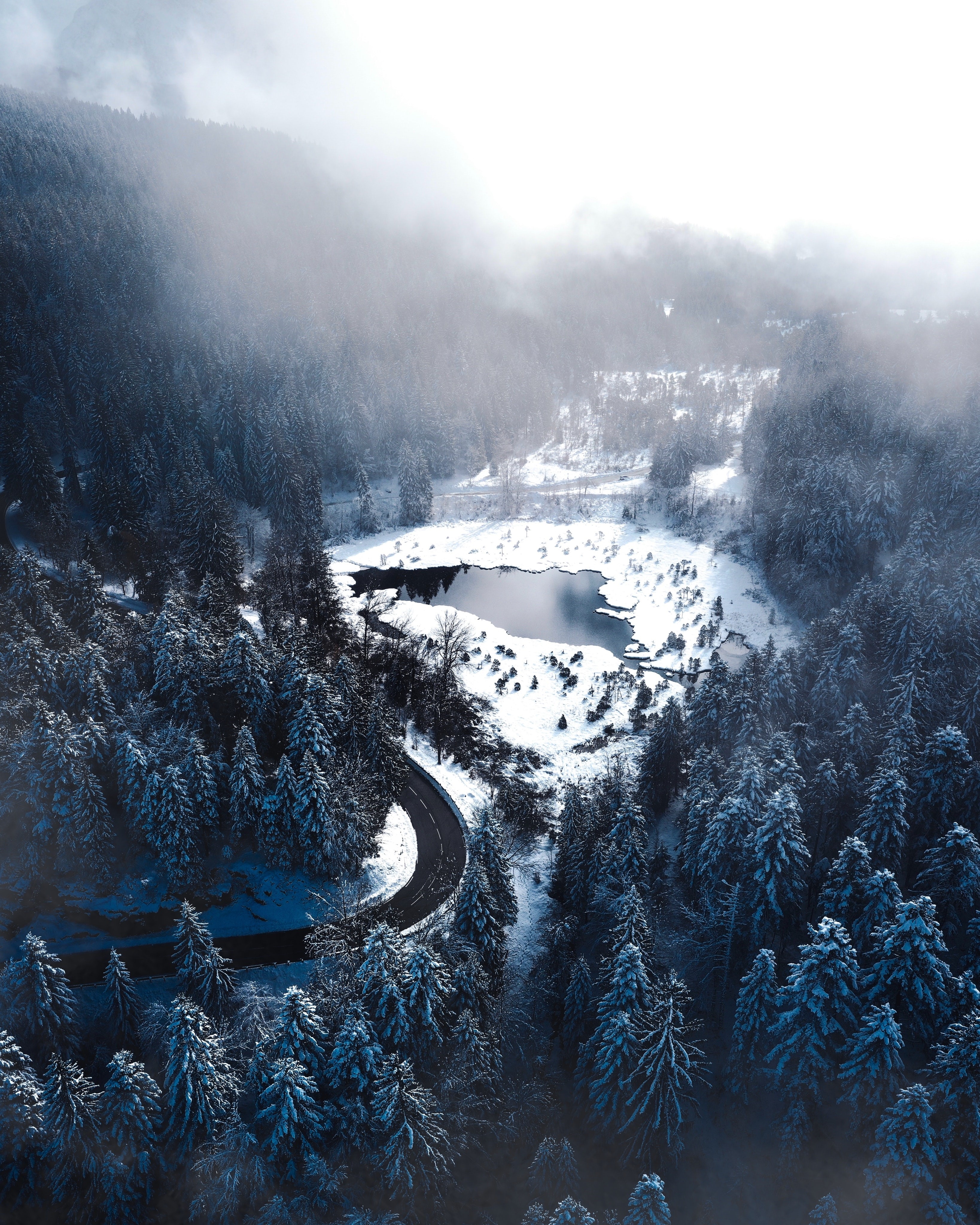 Aerial view of a snow-covered forest and lake HD Phone Wallpaper