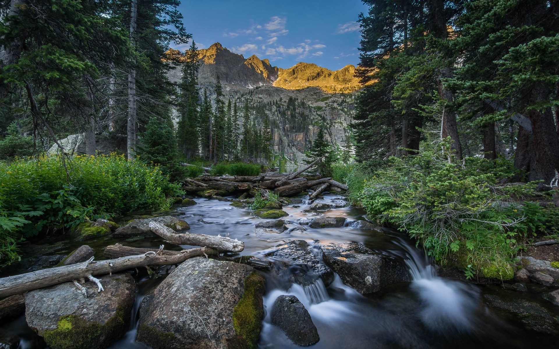 Mountain stream flowing through a forest with rocky peaks HD Wallpaper