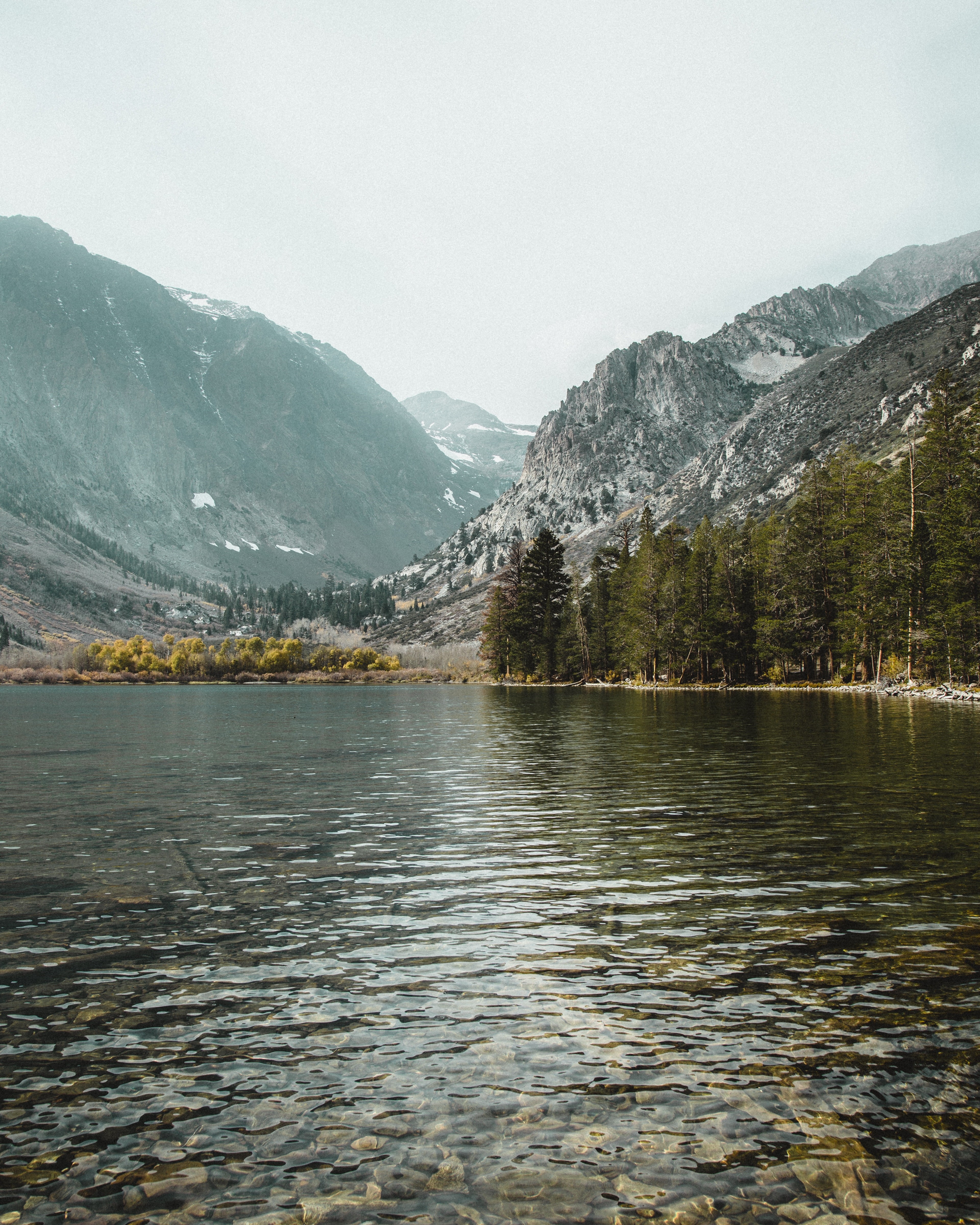 Lake and Mountains with Trees HD Phone Wallpaper