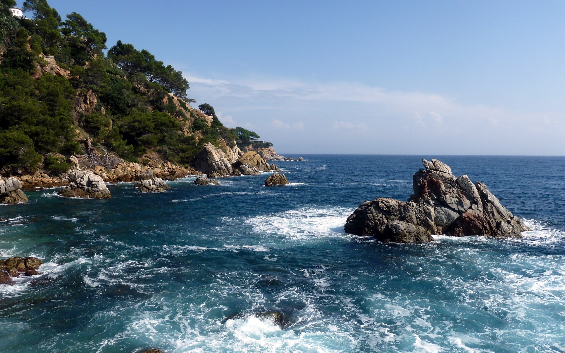 Rocky coastline with trees and blue ocean HD Wallpaper