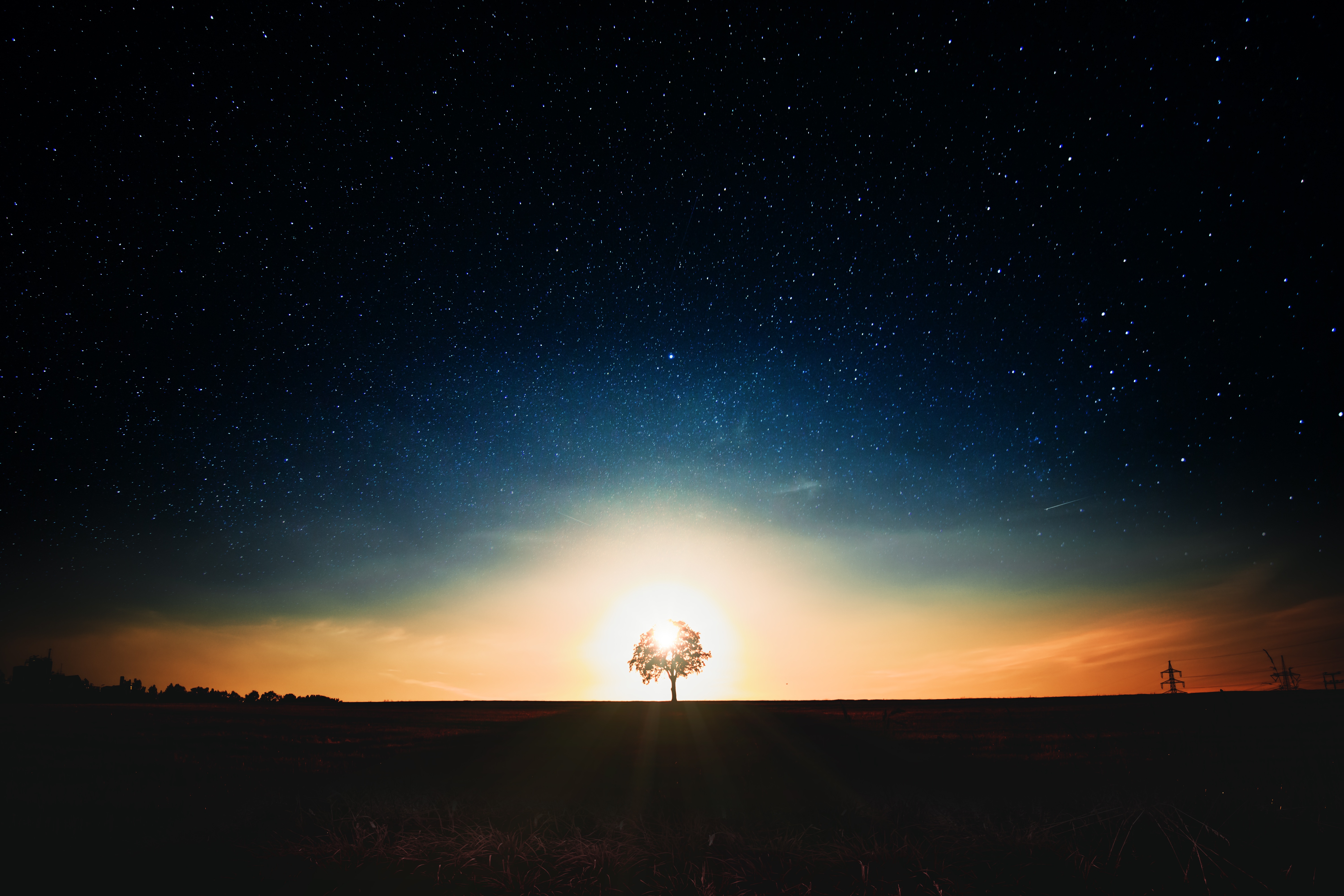 Tree silhouetted against sunset and starry sky HD Wallpaper